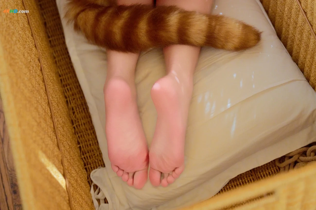AXunkaOri - HuangDouFen 40Mao — photo 99
