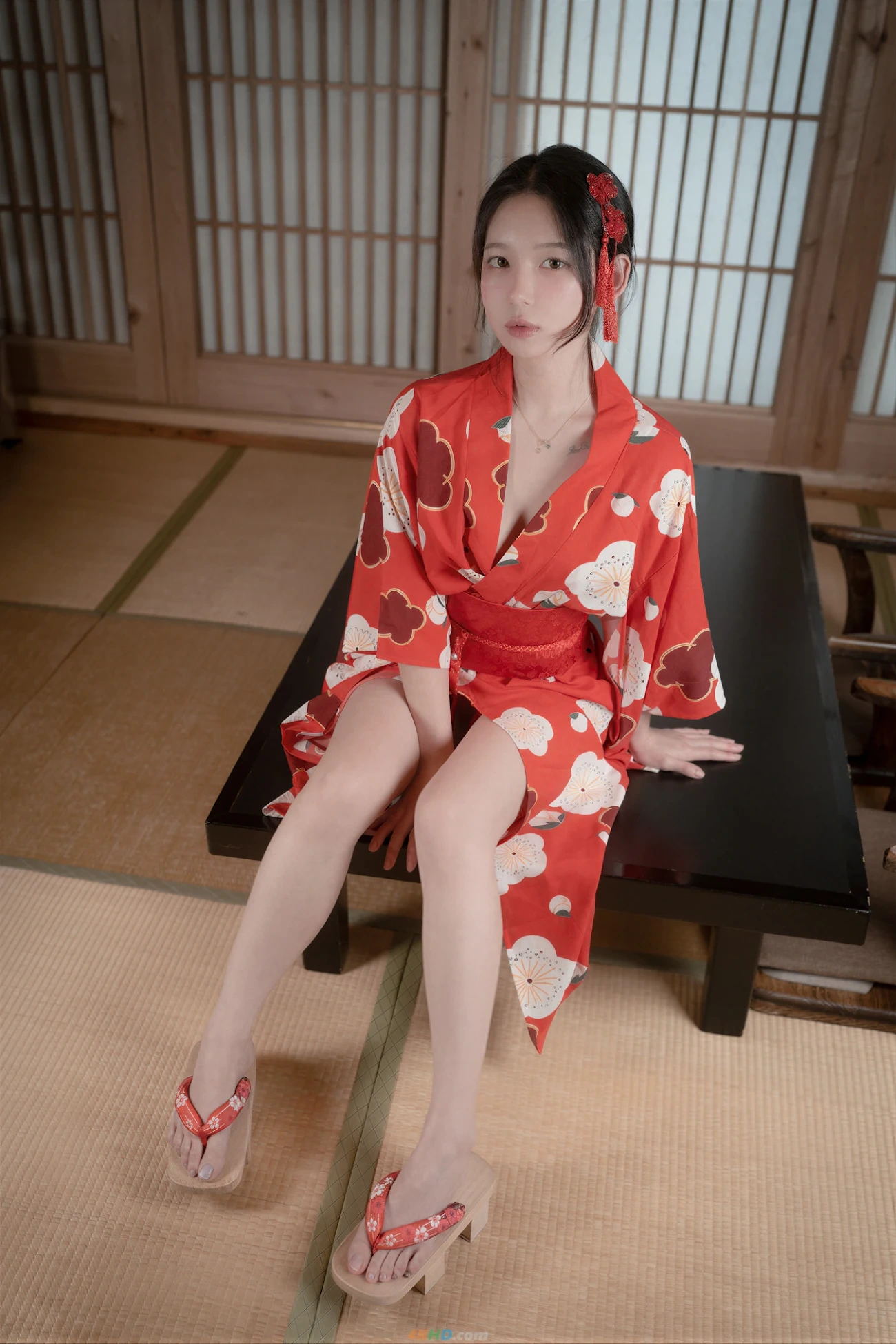 Yeha (YeHa) X Level Yeha (YeHa) Vol.47 Geisha's Restaurant — photo 1