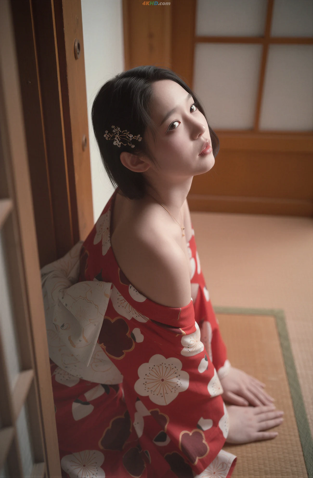 Yeha (YeHa) X Level Yeha (YeHa) Vol.47 Geisha's Restaurant — photo 23