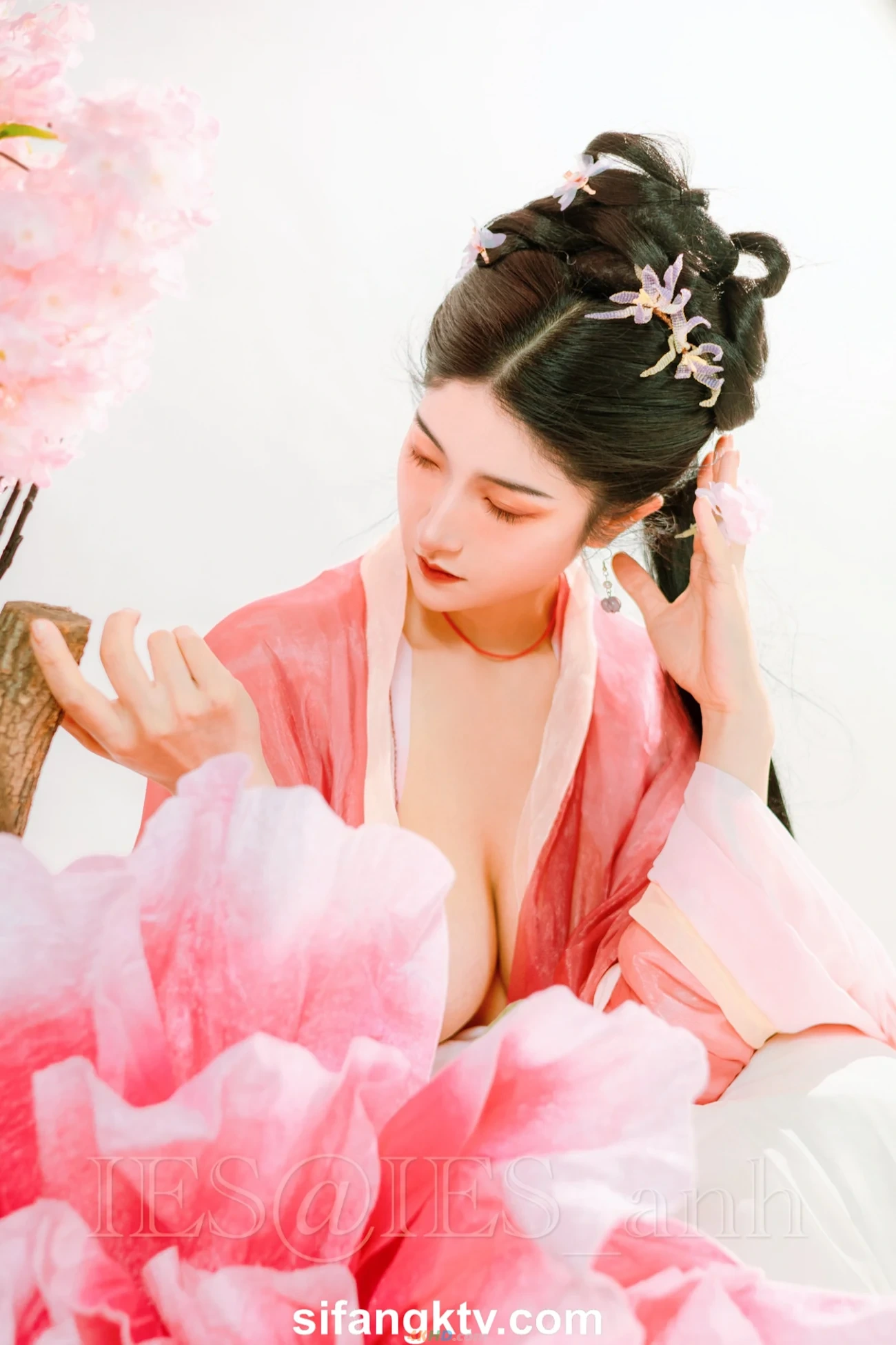 [OtherXXX] [SheYingShi] LinXinYue LinYiPu GongYaoFei HuaYin AiXi Deng25WeiDingJiNuShenWeiMeiSiPai02 — photo 254