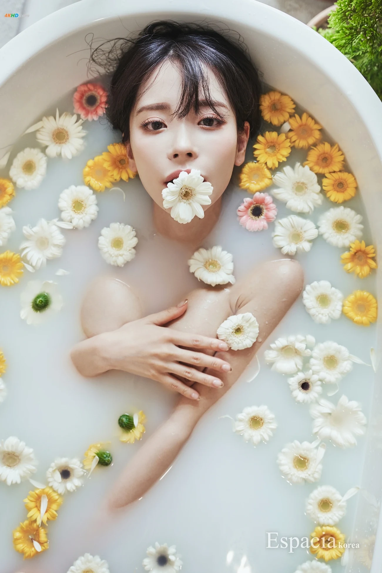 [Espacia Korea] EXC#084 KANA TaoNaiMukana — photo 44