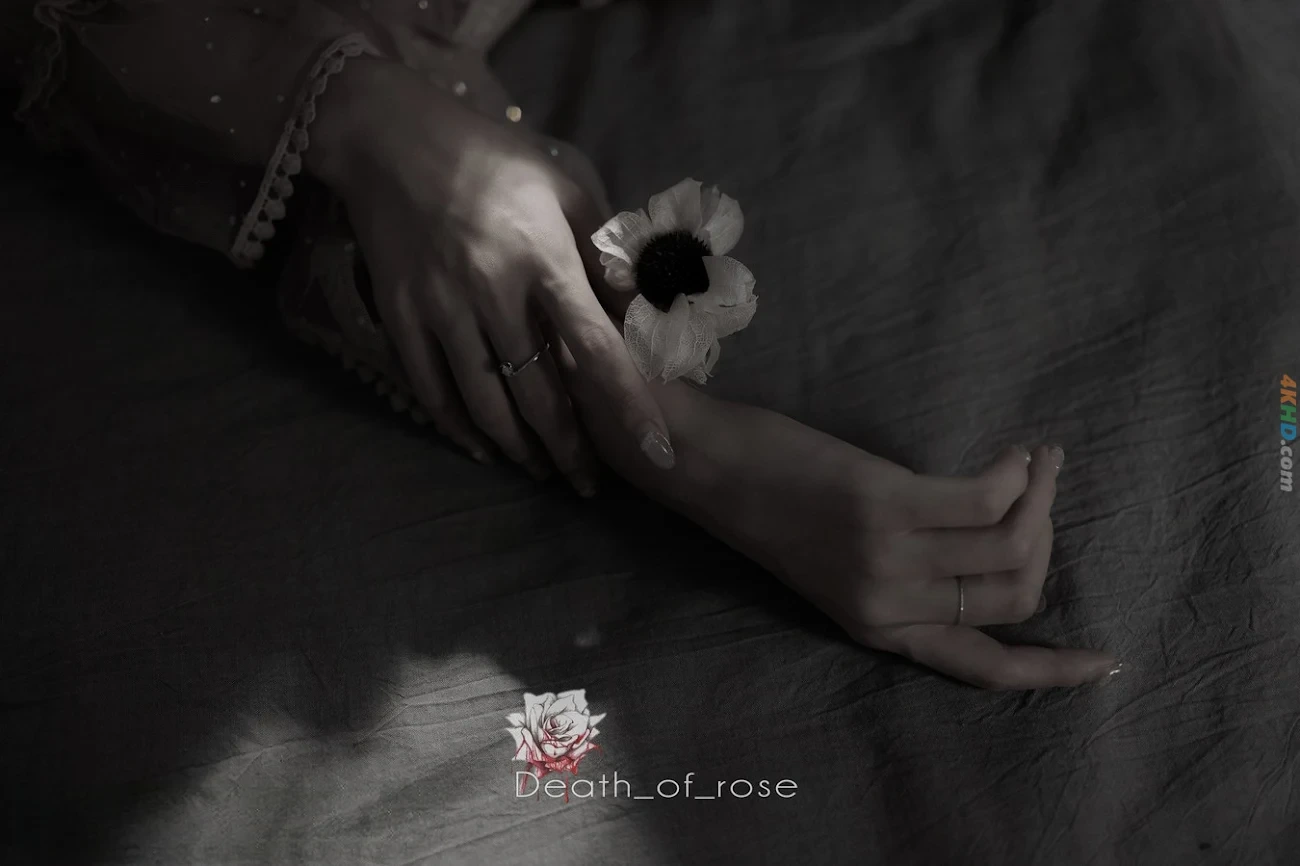 [OtherXXX] [SheYingShi] ChaoWeiMeiSiPaiLiuChu HaoRuXueMei ChaoYanZhiNuShenYunJi — photo 28