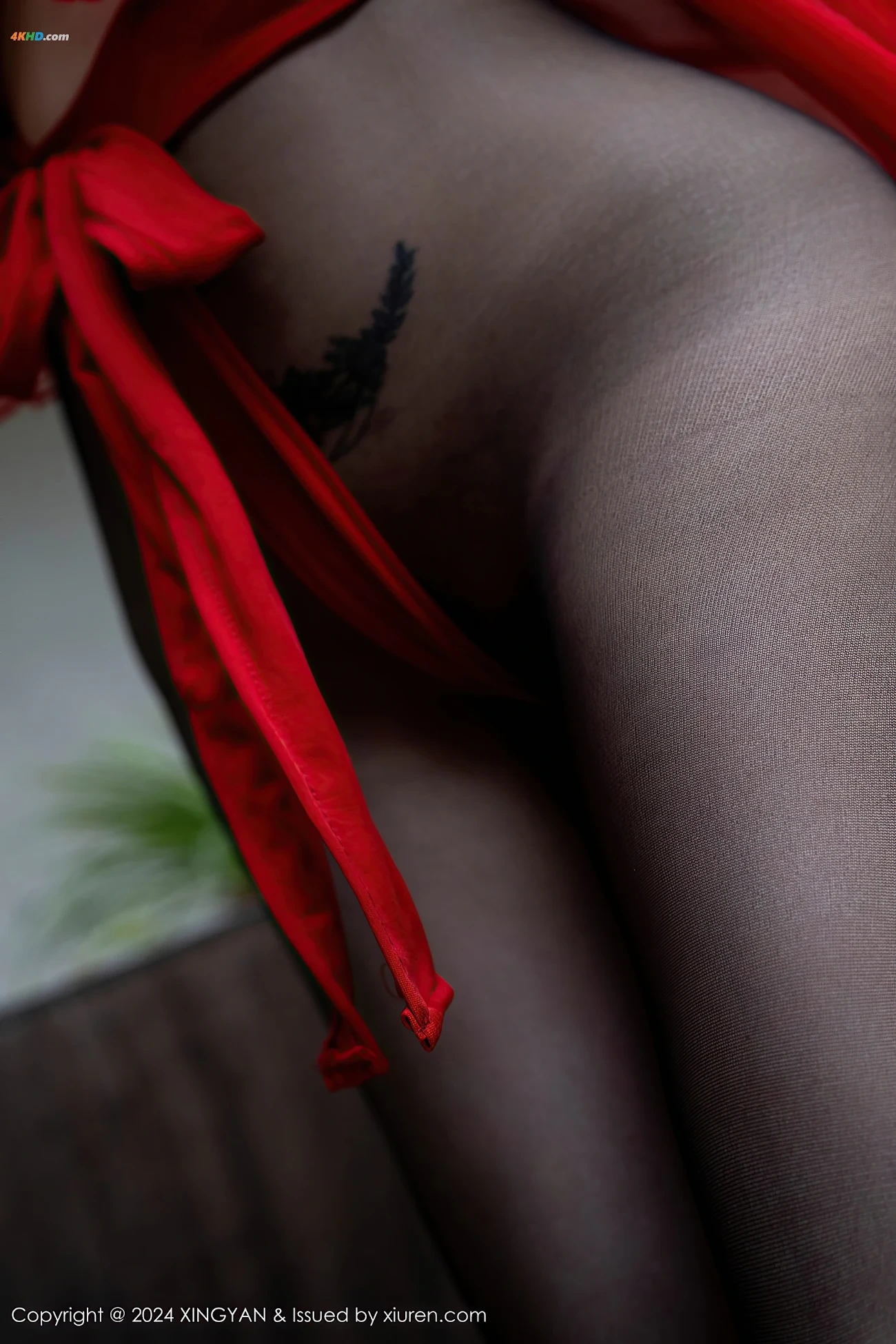 [XINGYANXingYanShe]2024.06.21 VOL.245 PanSiQin — photo 54