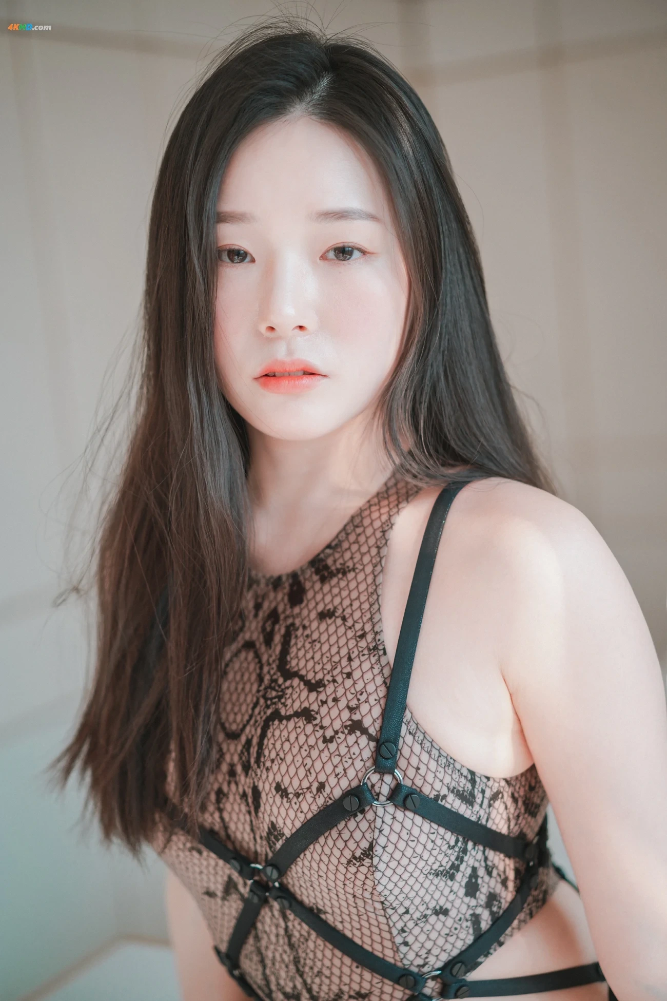 [DJAWA] Black Cat & Gold Python — photo 49