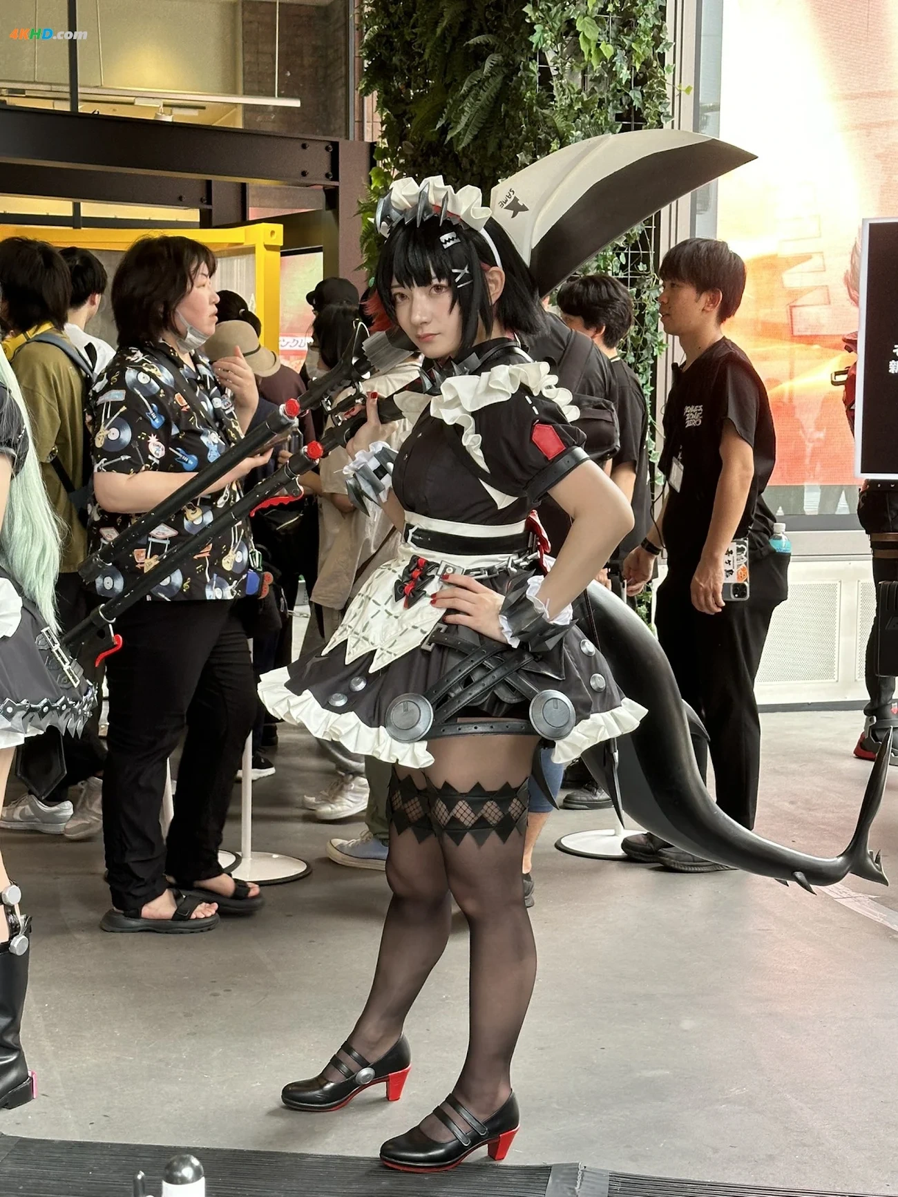 Lapin Angelia - Ellen Joe — photo 101