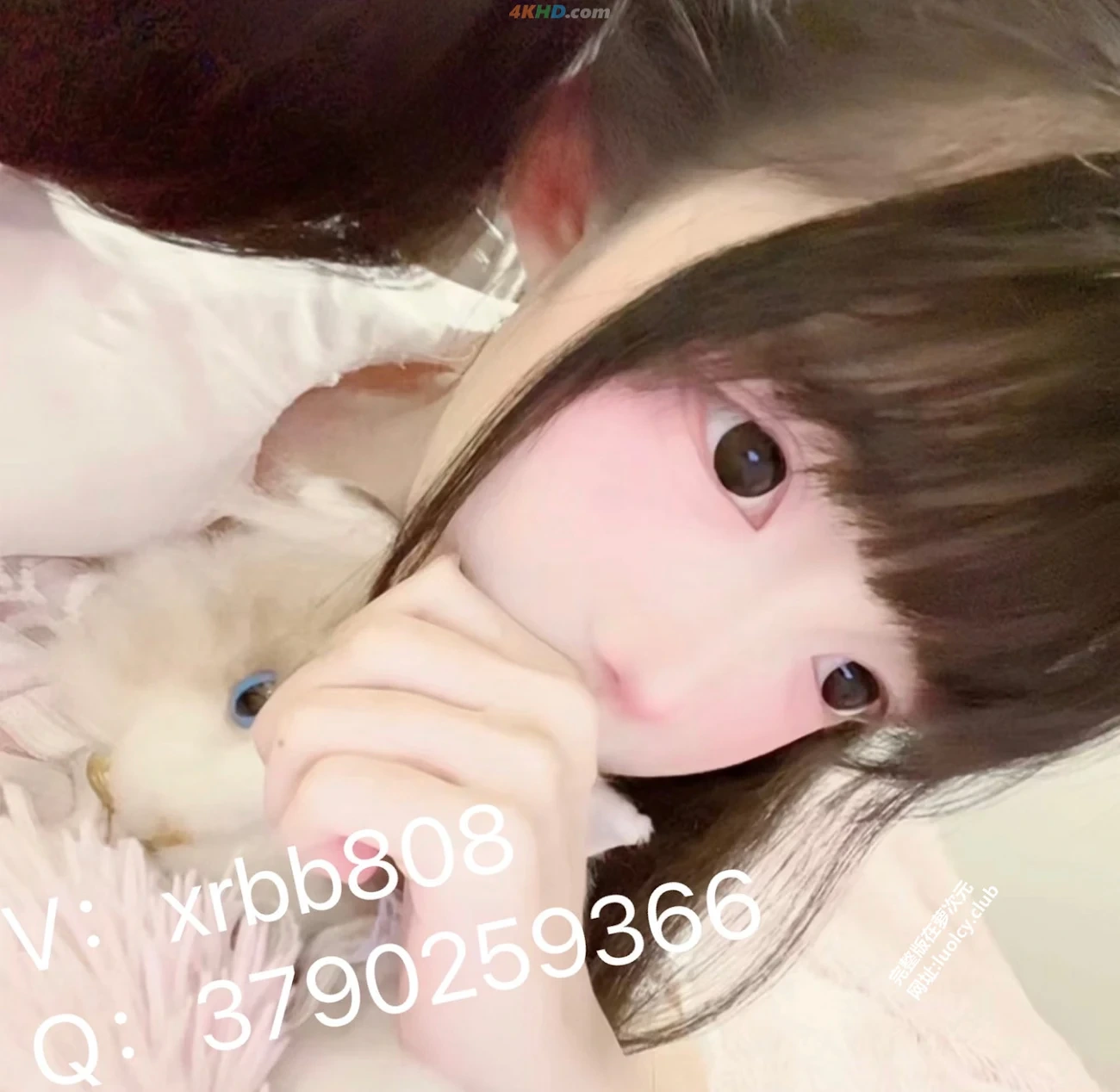 [OtherXXX] xiaokuikiyomi(XiaoKui) - 520MenKan ShiTuHeJi — photo 237