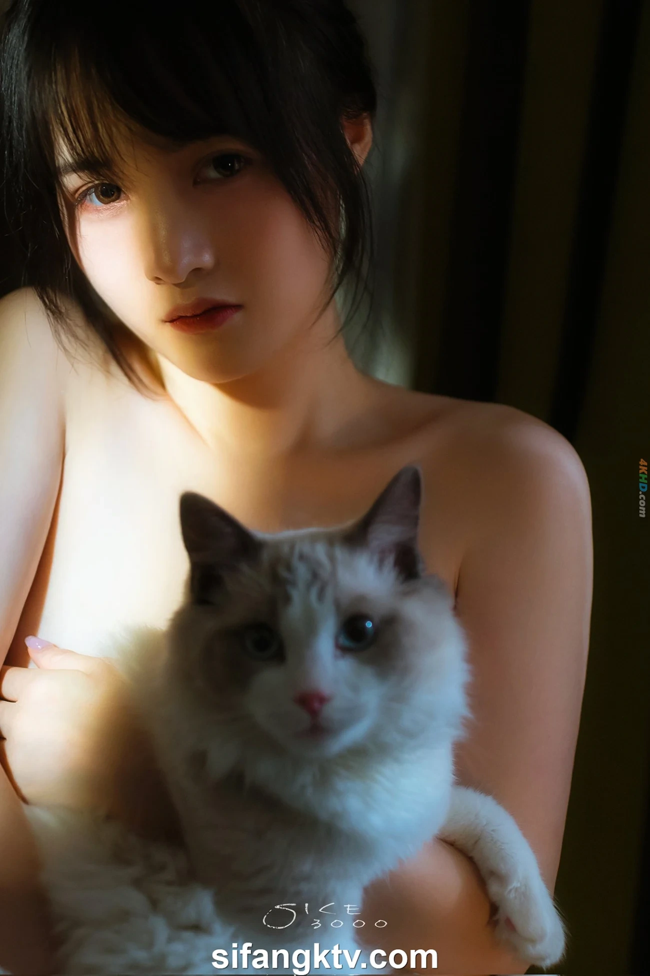 [OtherXXX] SheYingShi - LinXinYue LinYiPu GongYaoFei HuaYin AiXi Deng25WeiDingJiNuShenWeiMeiSiPai01 — photo 123