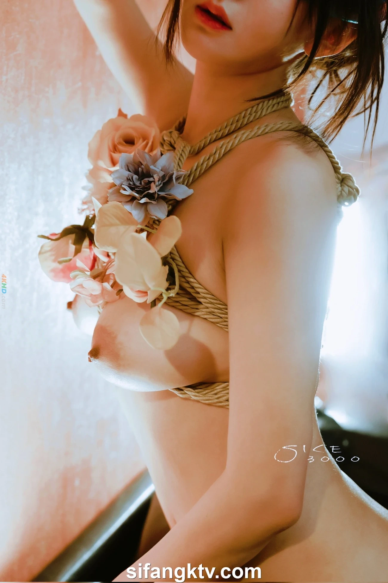 [OtherXXX] SheYingShi - LinXinYue LinYiPu GongYaoFei HuaYin AiXi Deng25WeiDingJiNuShenWeiMeiSiPai01 — photo 131