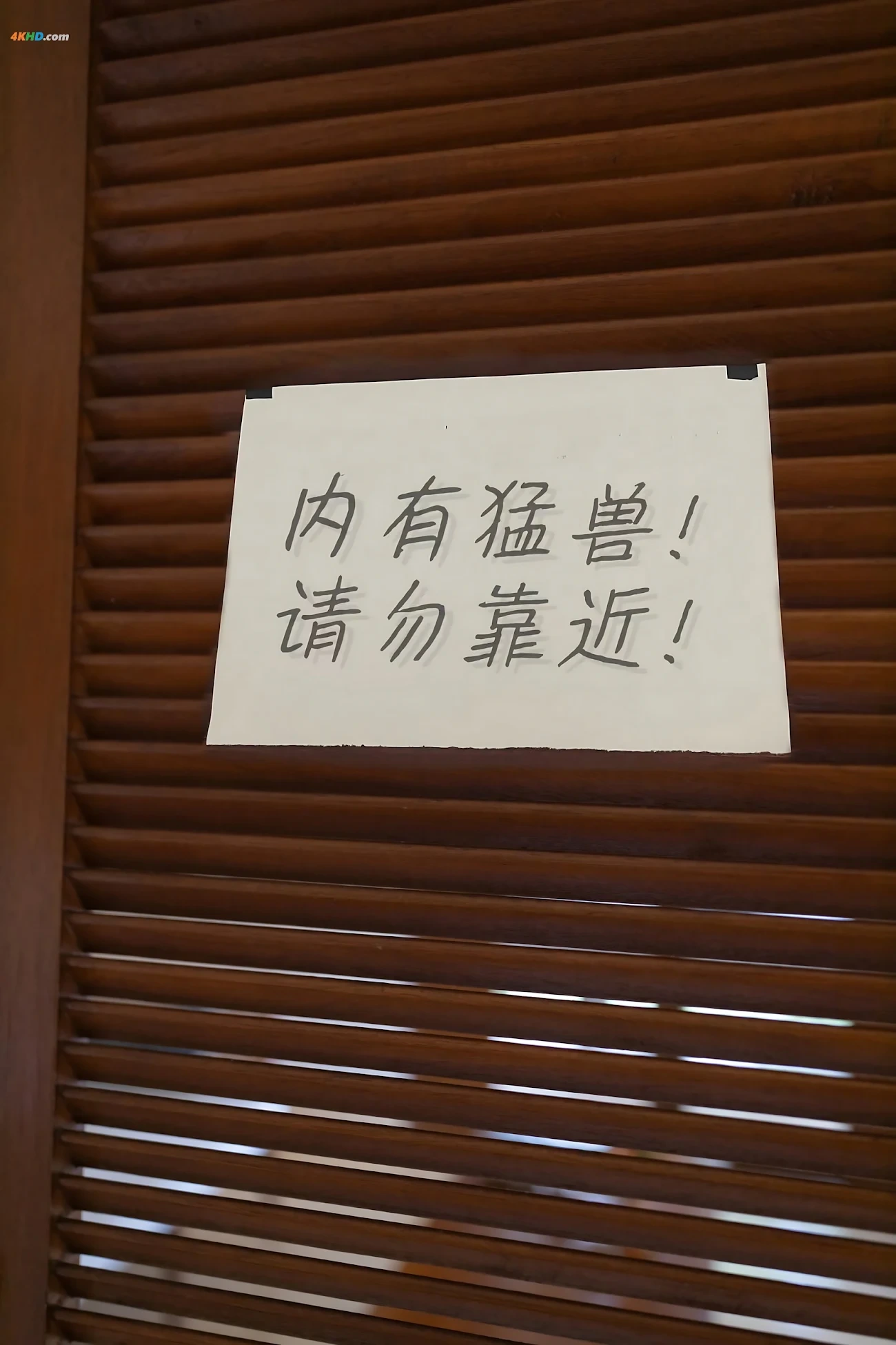XieXiaoEn(YouYou) - MengShouXieZhen — photo 100
