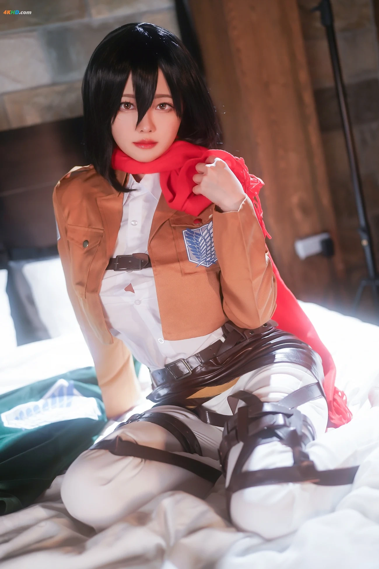 ArtyYaTi Mikasa Ackerman — photo 1