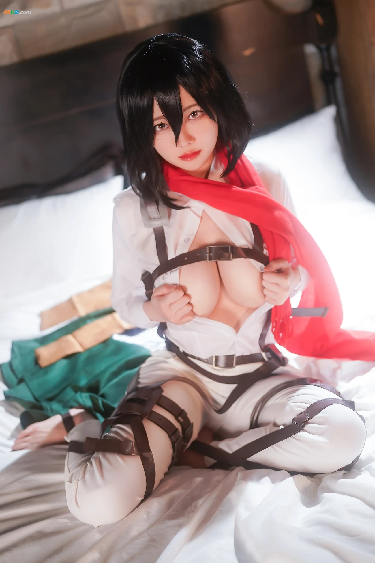 ArtyYaTi Mikasa Ackerman — photo 6
