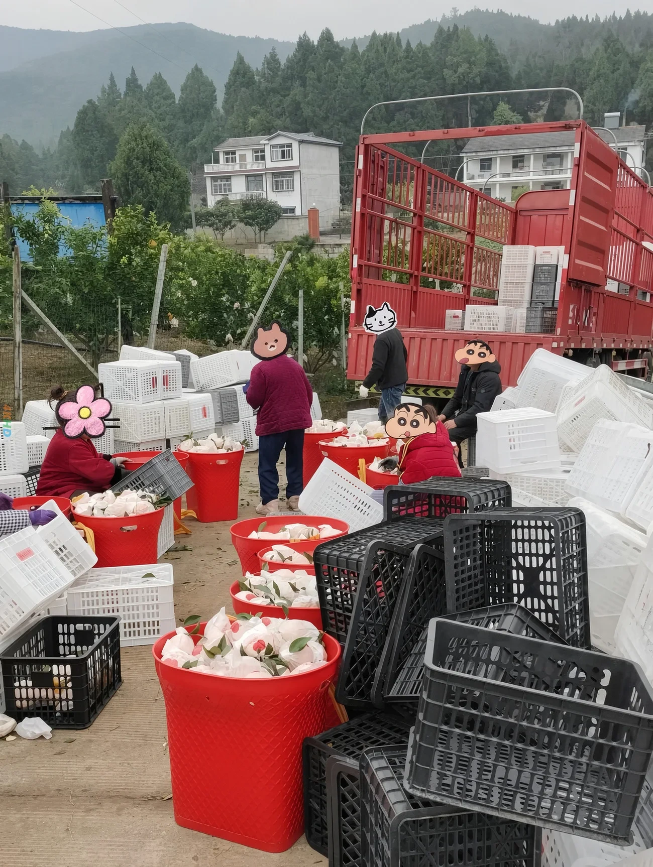[OtherXXX] WoDeXiaoYi - ZhenShiJiPinYiShengLian XinChunZuiXinFuLi — photo 33