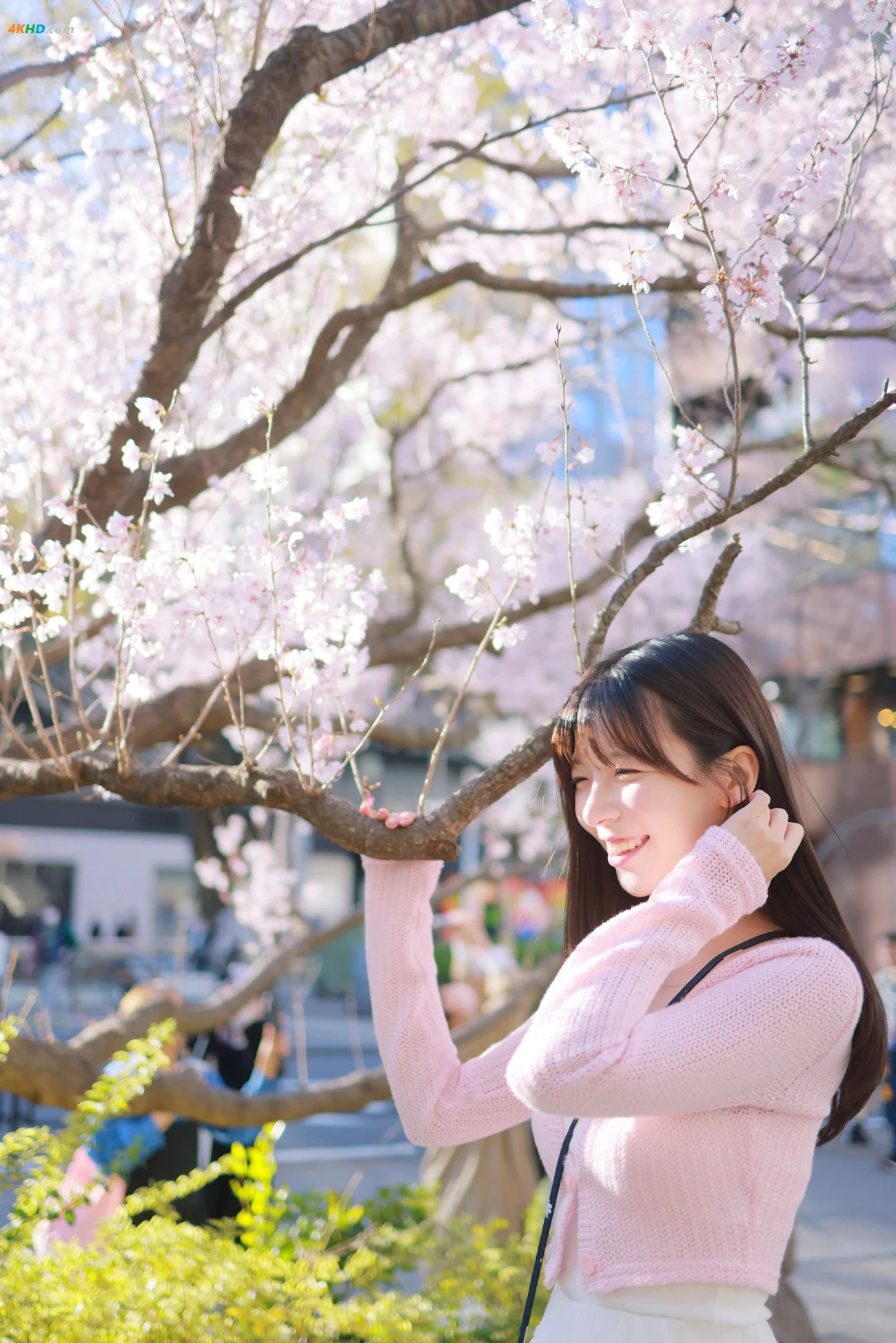 [Patreon] SsoBeulLi ( leeesovely) - Sakura — photo 23