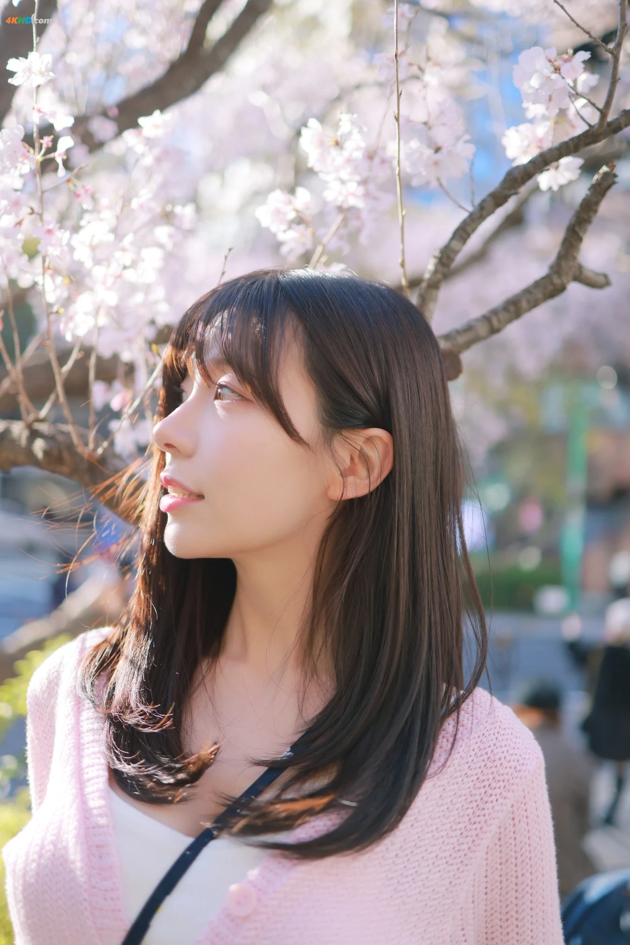 [Patreon] SsoBeulLi ( leeesovely) - Sakura — photo 25