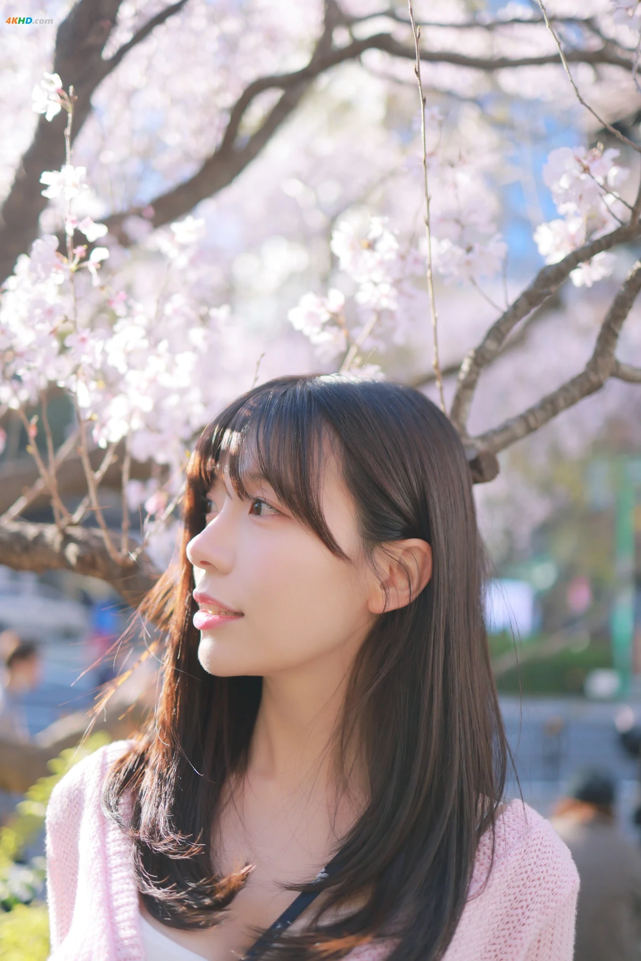 [Patreon] SsoBeulLi ( leeesovely) - Sakura — photo 26