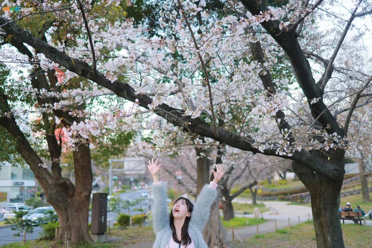 [Patreon] SsoBeulLi ( leeesovely) - Sakura — photo 48