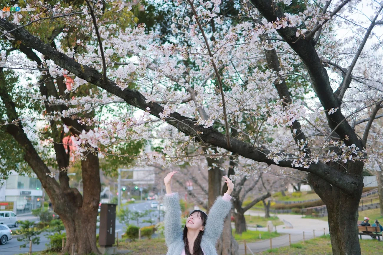 [Patreon] SsoBeulLi ( leeesovely) - Sakura — photo 49