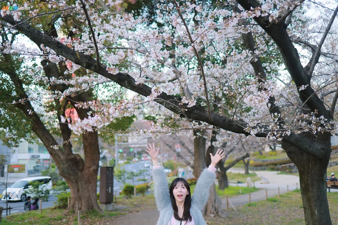[Patreon] SsoBeulLi ( leeesovely) - Sakura — photo 50