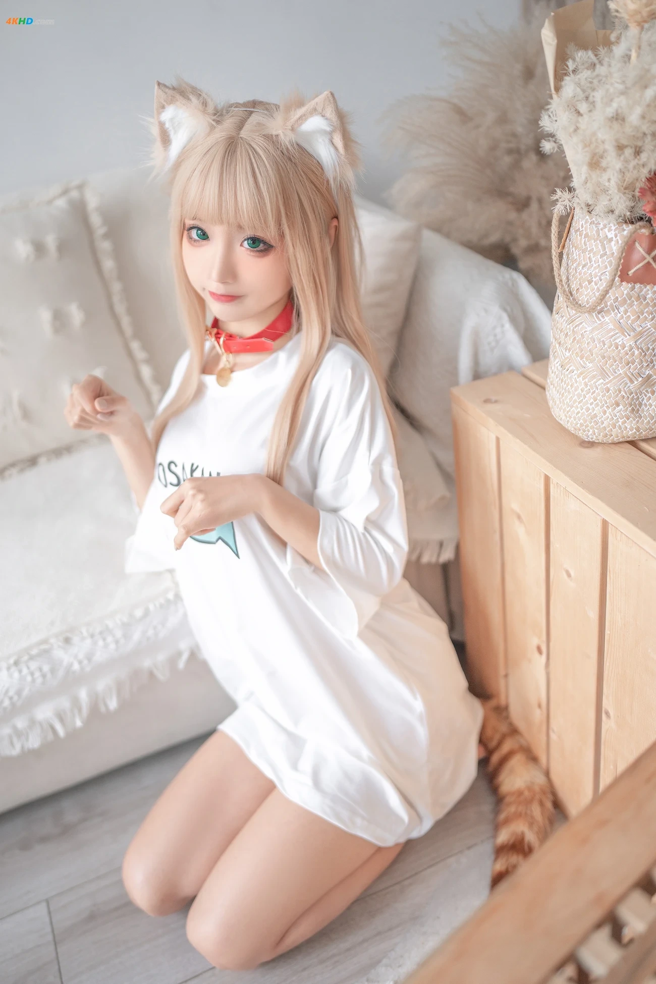 Chunmomo ChunMoMo - Kinako — photo 1