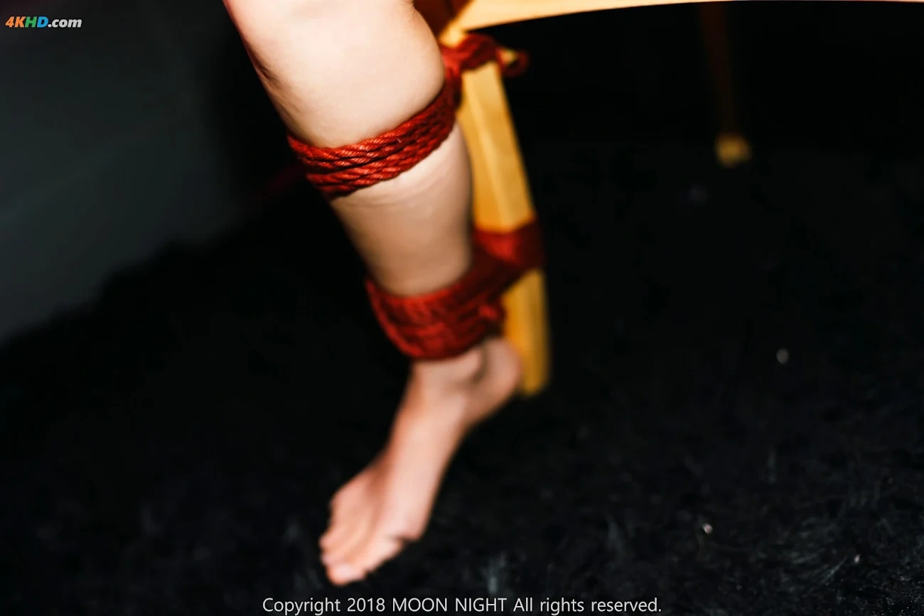 Moon Night Snap - Mona (MoNa) SM Club Art Bondage — photo 78