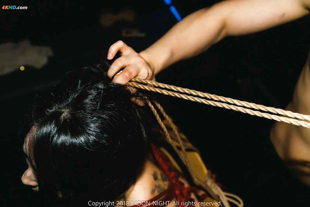 Moon Night Snap - Mona (MoNa) SM Club Art Bondage — photo 85