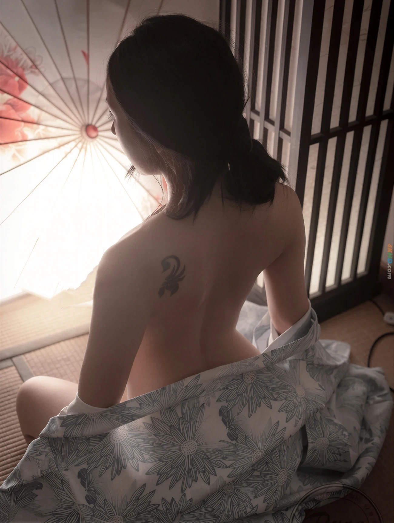 Pure Media Vol.0248 306 Jia (JiA) Geisha Invitation — photo 46