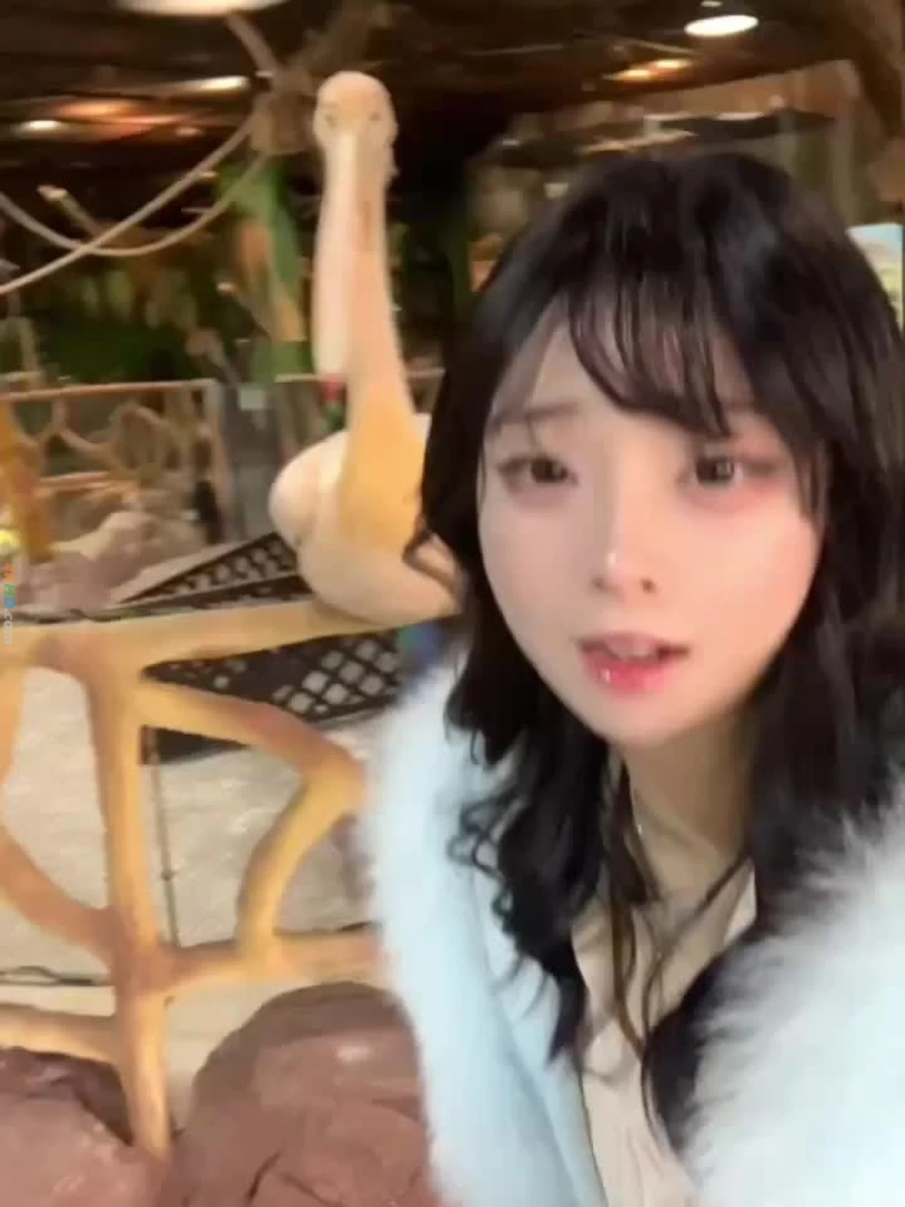 WuQingXiaoXiaoYing 001-005 — photo 131