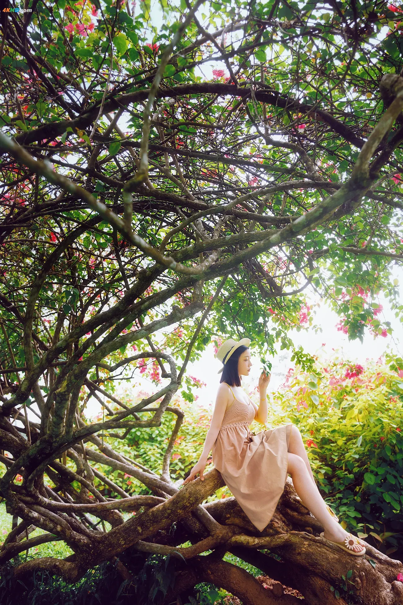 cosplay NianNian - BaiLu — photo 10