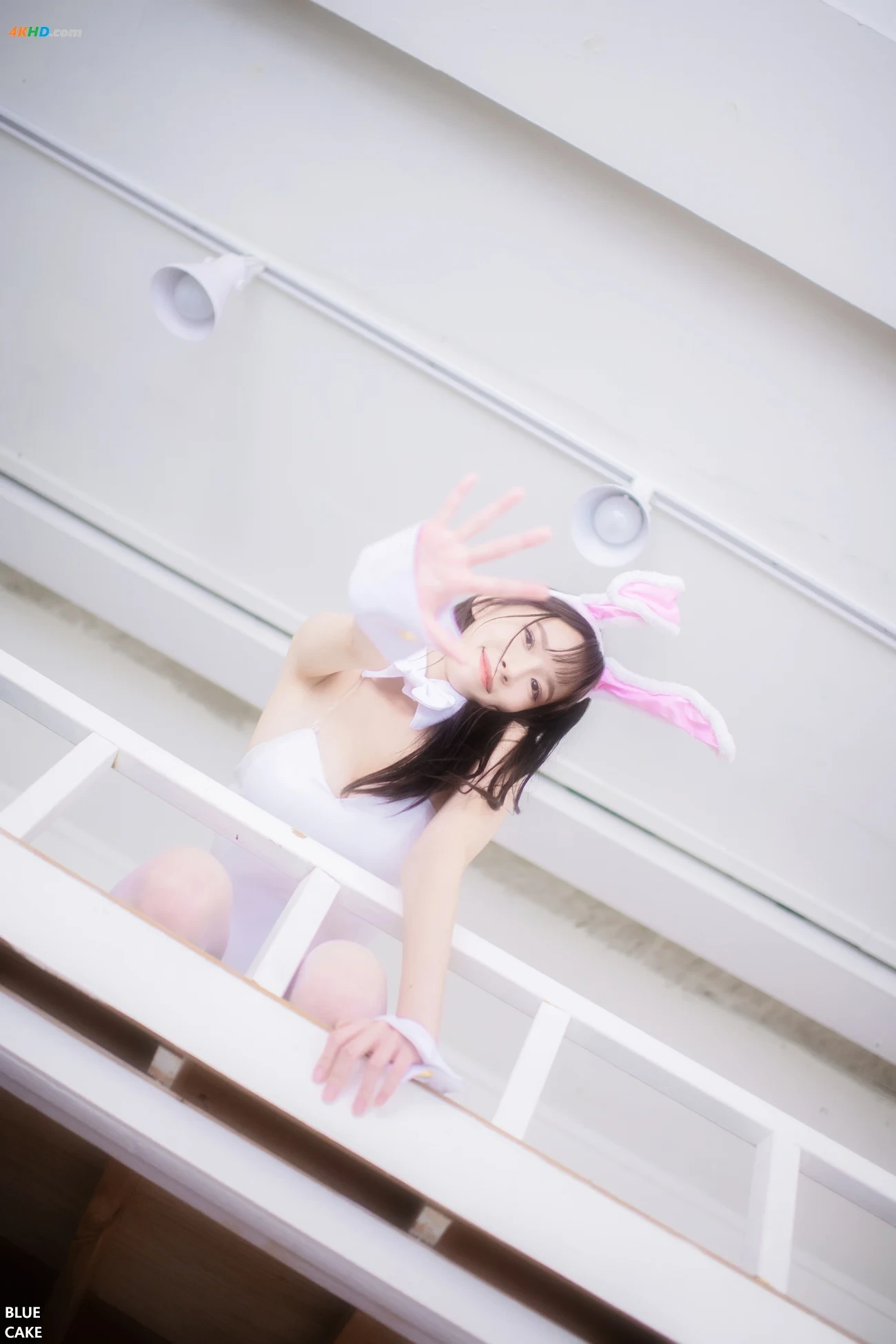Ahrin - White & Black Bunny — photo 118