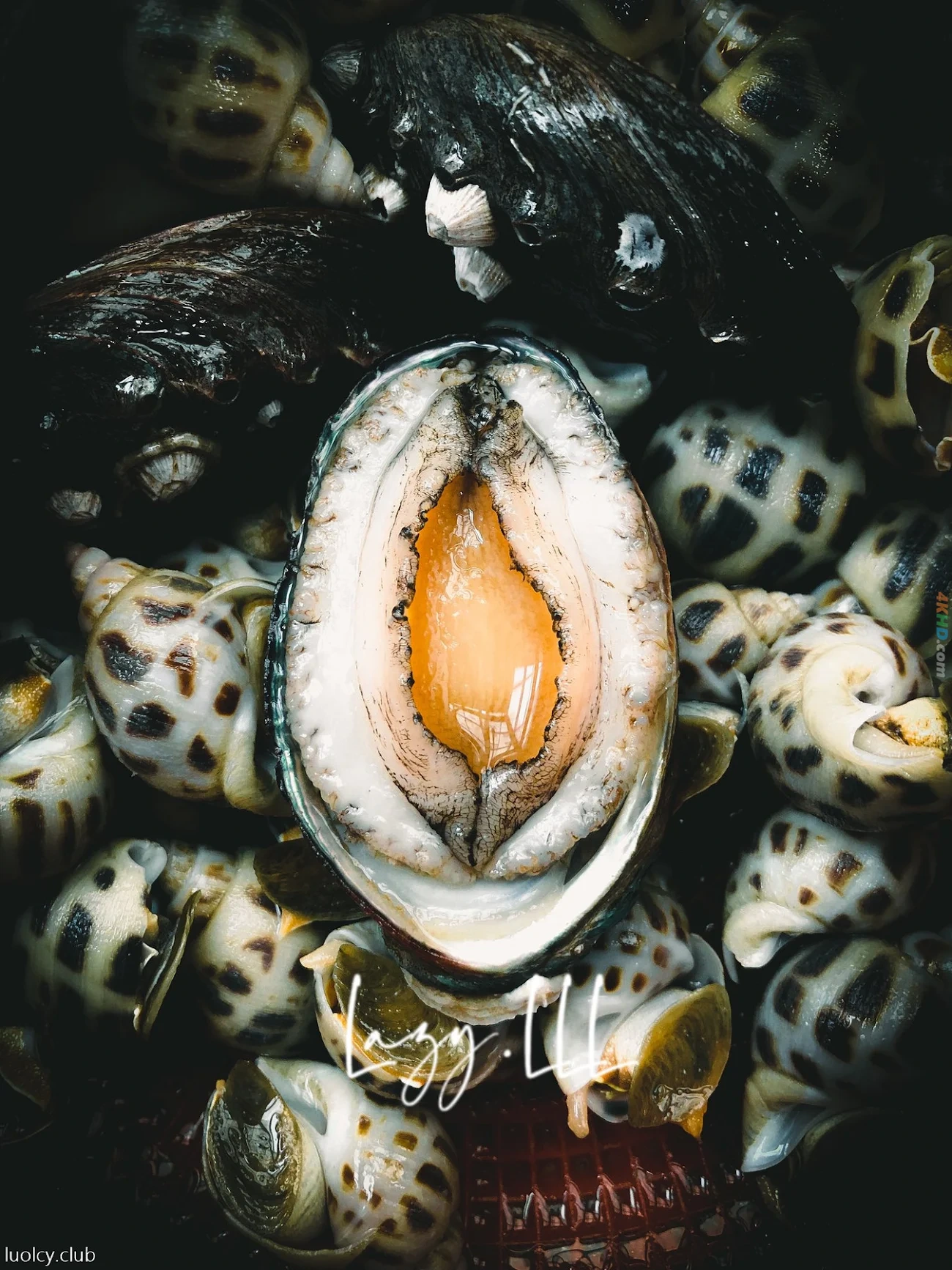 [OtherXXX] LLL777 - WeiMeiSeQingXieZhenJiHeJi — photo 12