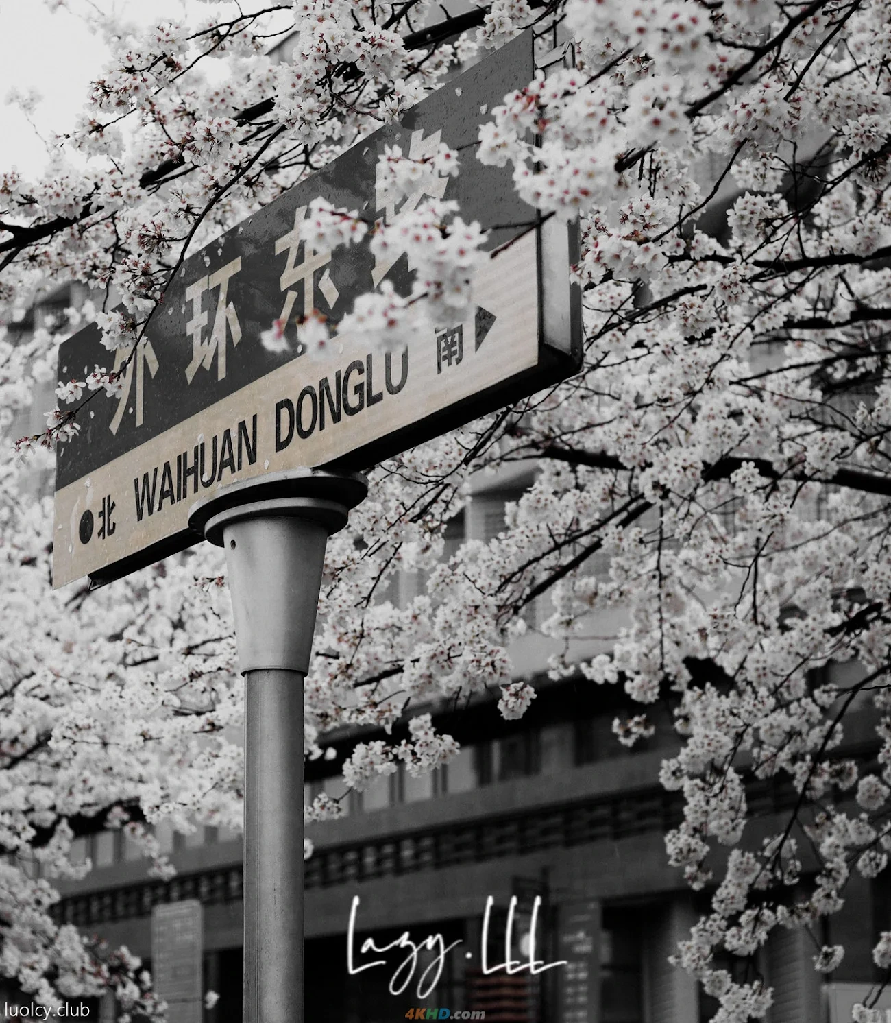 [OtherXXX] LLL777 - WeiMeiSeQingXieZhenJiHeJi — photo 16