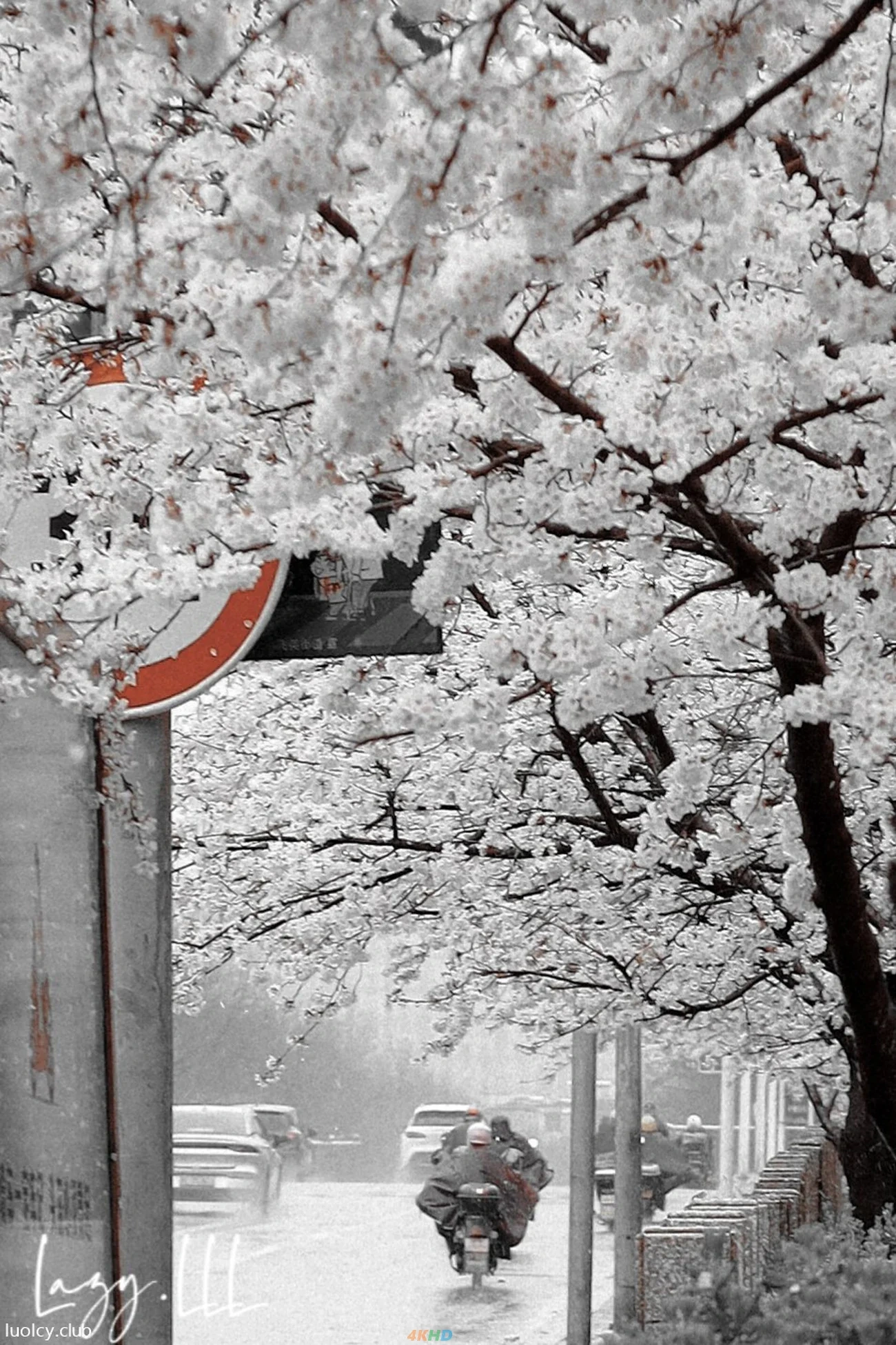 [OtherXXX] LLL777 - WeiMeiSeQingXieZhenJiHeJi — photo 17