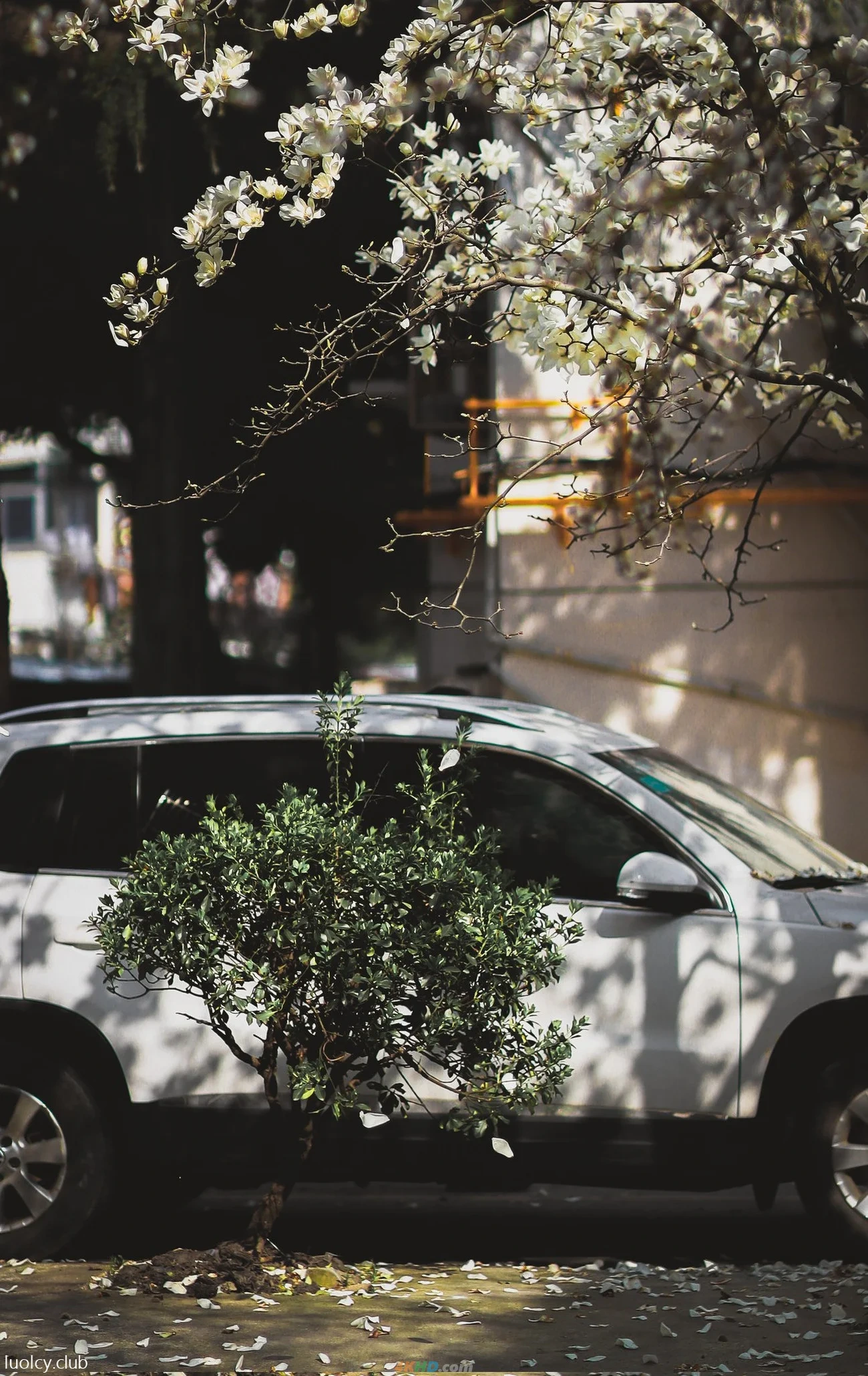 [OtherXXX] LLL777 - WeiMeiSeQingXieZhenJiHeJi — photo 26