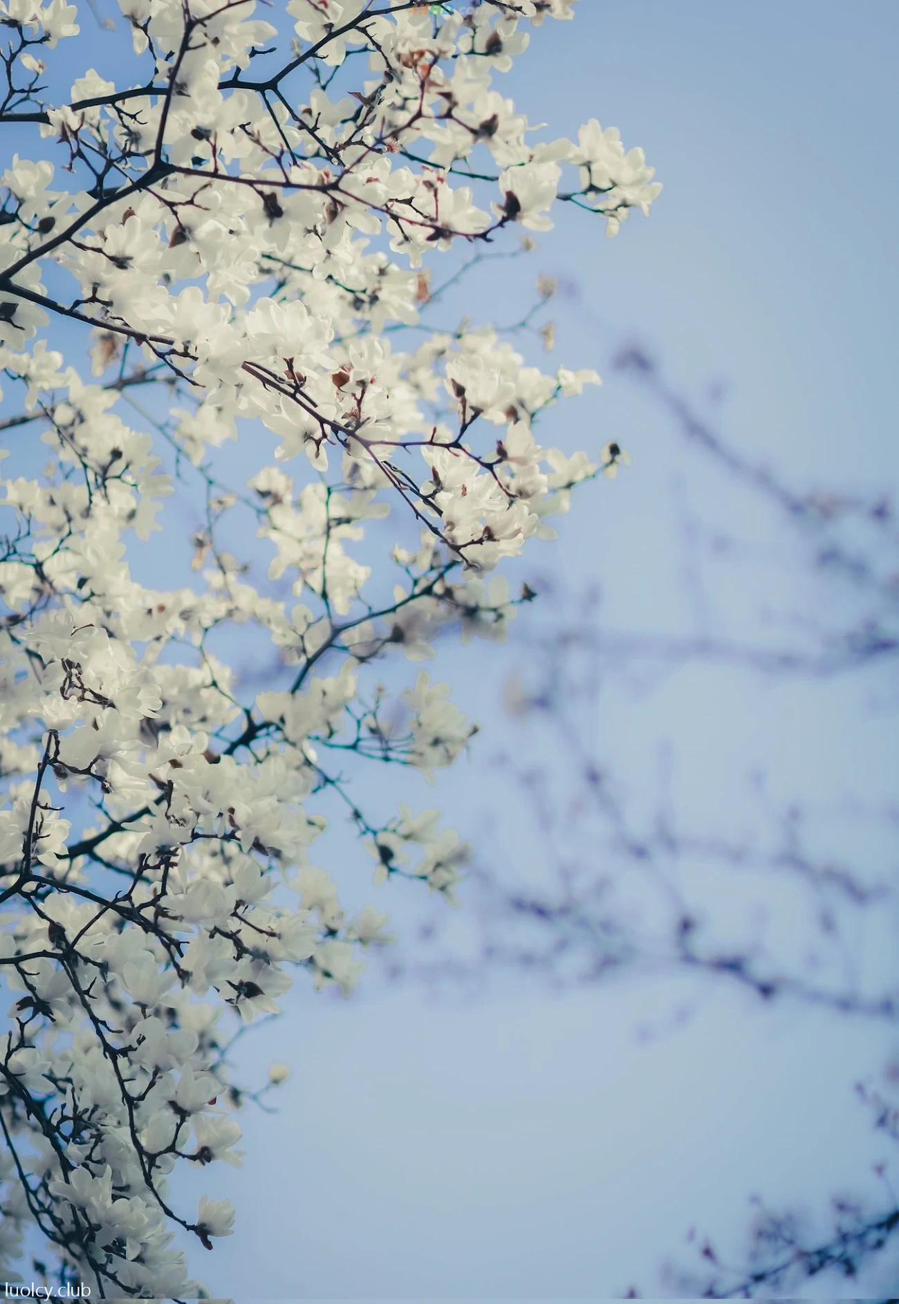 [OtherXXX] LLL777 - WeiMeiSeQingXieZhenJiHeJi — photo 27