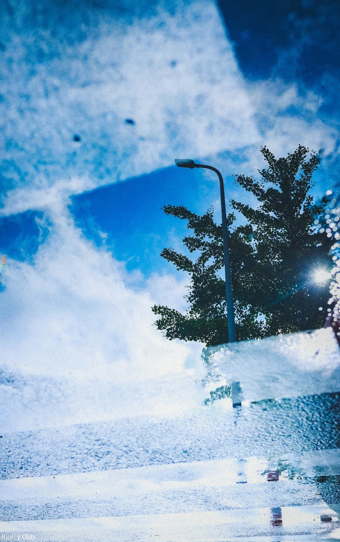 [OtherXXX] LLL777 - WeiMeiSeQingXieZhenJiHeJi — photo 103