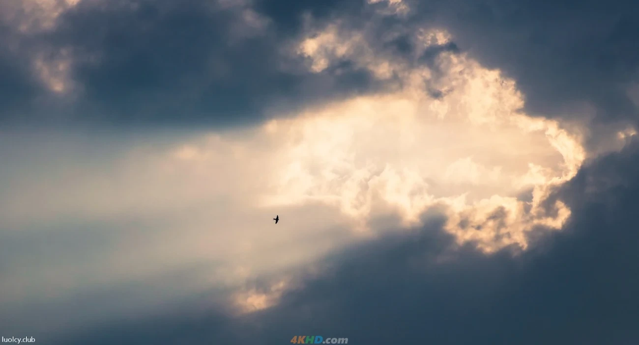 [OtherXXX] LLL777 - WeiMeiSeQingXieZhenJiHeJi — photo 172