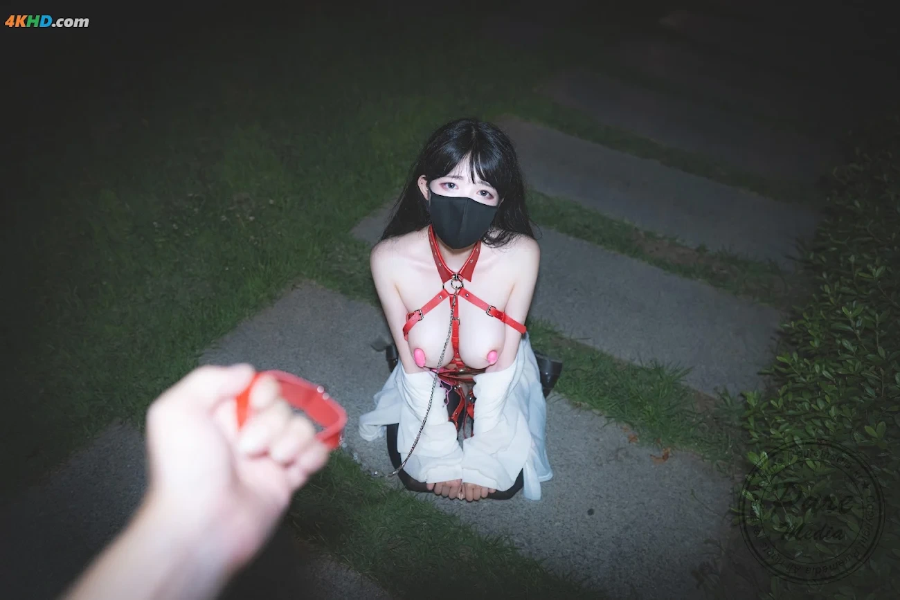 Pure Media Vol.205 Aram (ALam) - The Day of Slave + Bonus(911MB)(182photos) — photo 70
