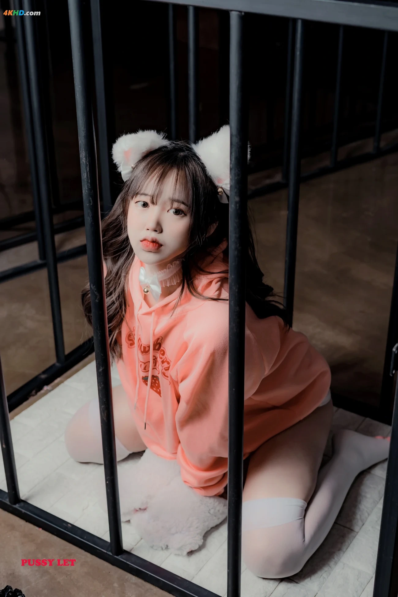 [PUSSYLET] Cony Vol.06 Pet(221MB)(69photos) — photo 6