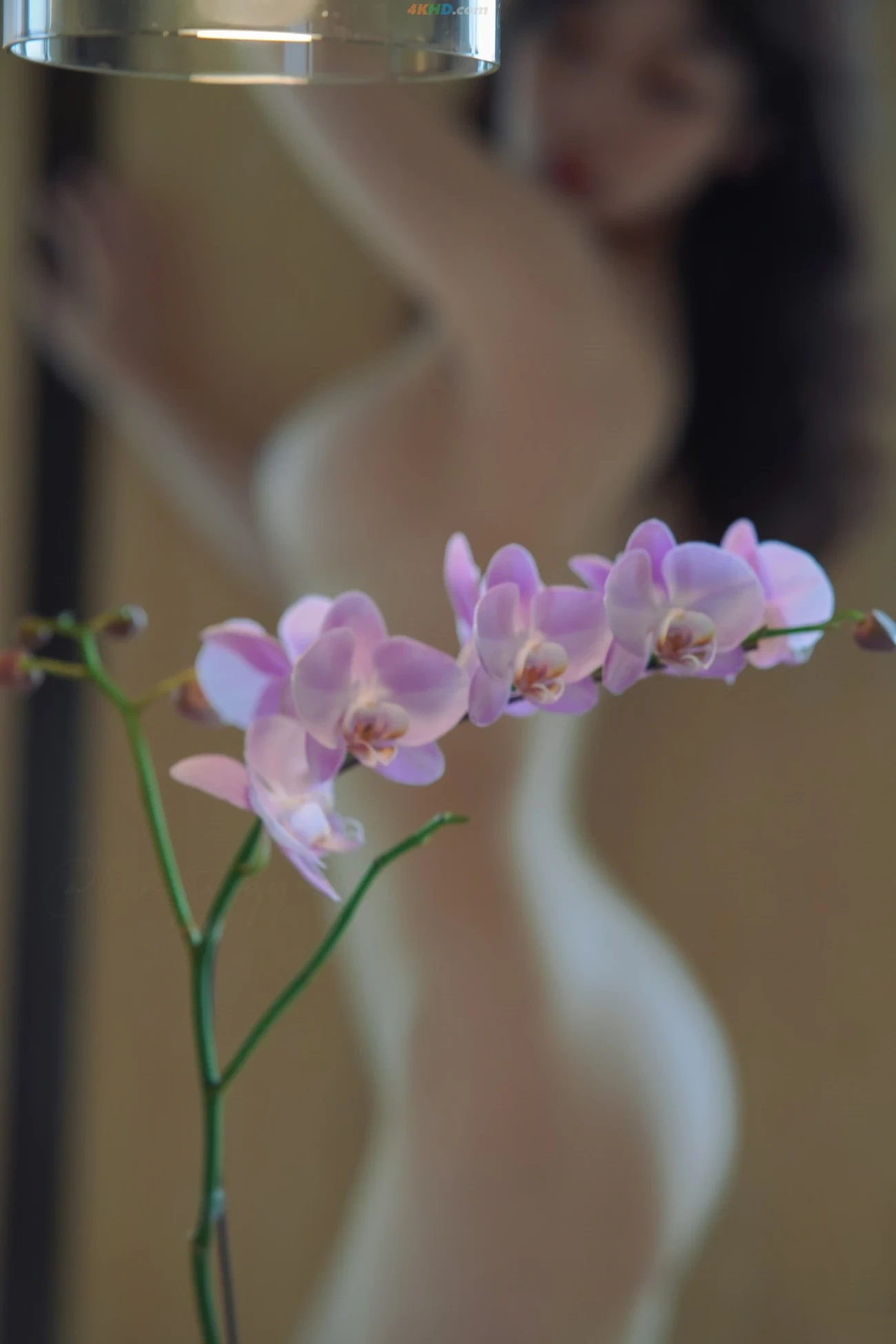 [OtherXXX] VYA-CAT - WeiMeiQingSeSheYingXieZhenJi — photo 5