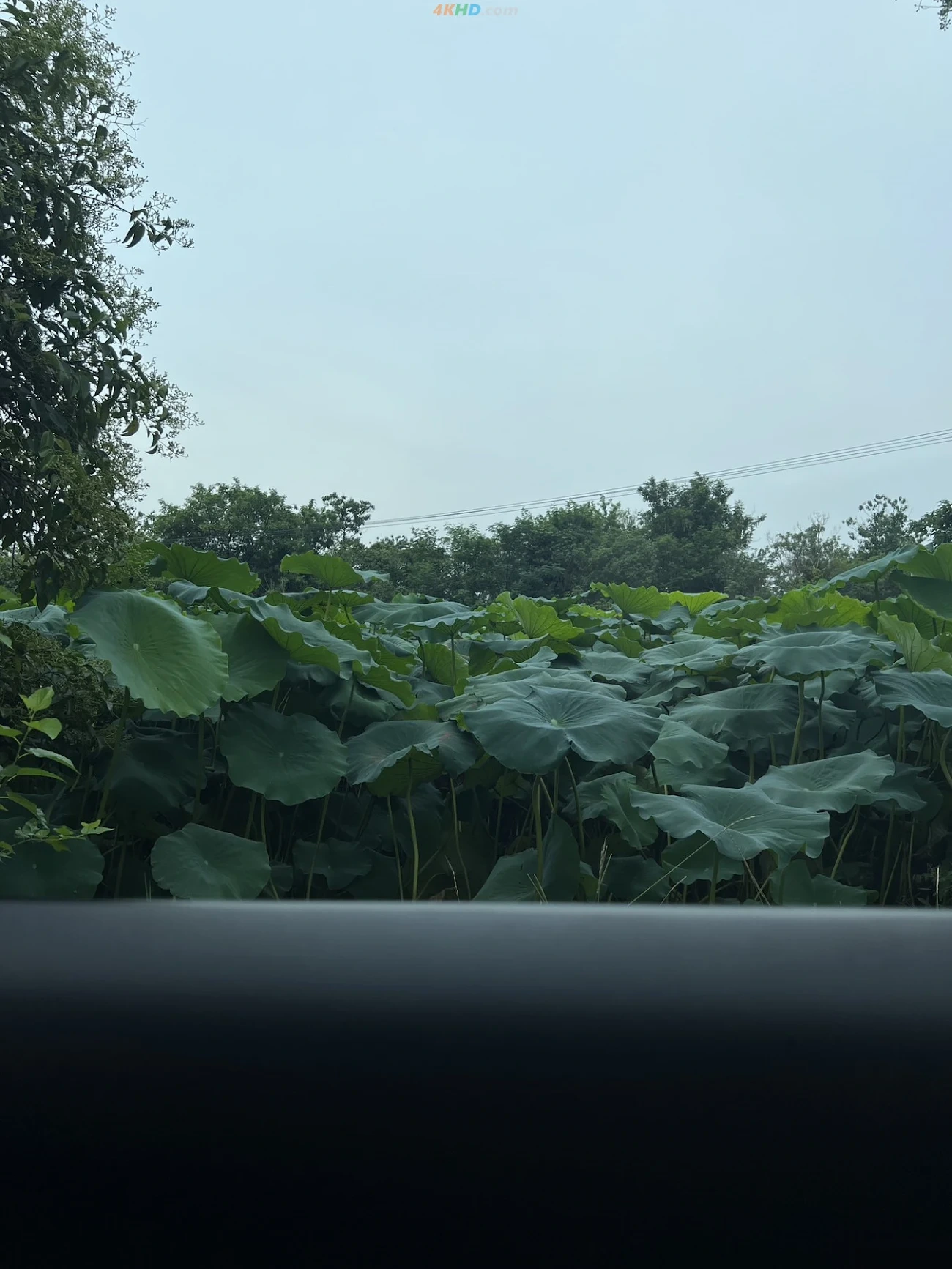 [OtherXXX] VYA-CAT - WeiMeiQingSeSheYingXieZhenJi — photo 51