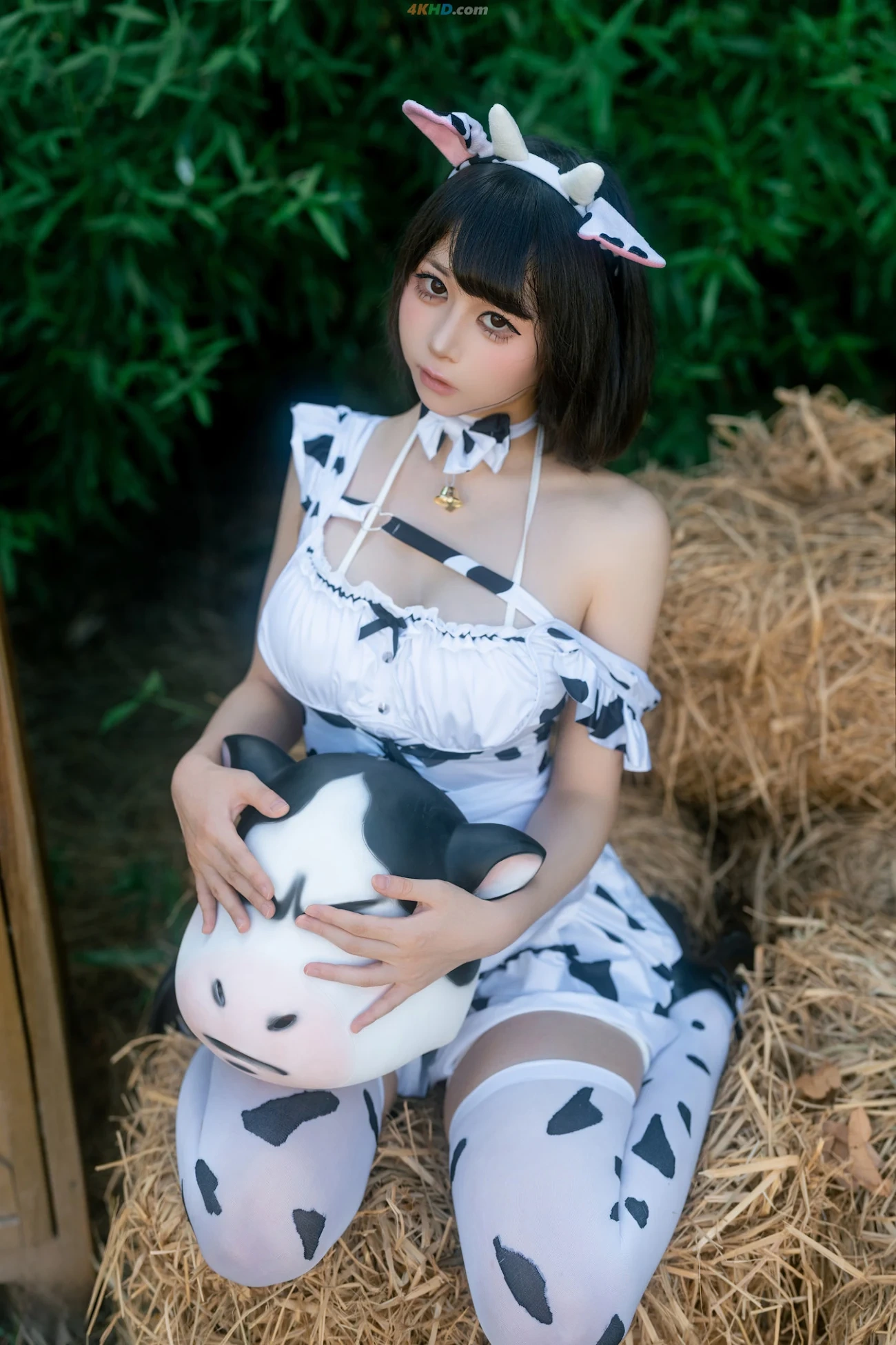 TieShouJiaoShou - WoHeNiuNiuYouGeYueHui — photo 2