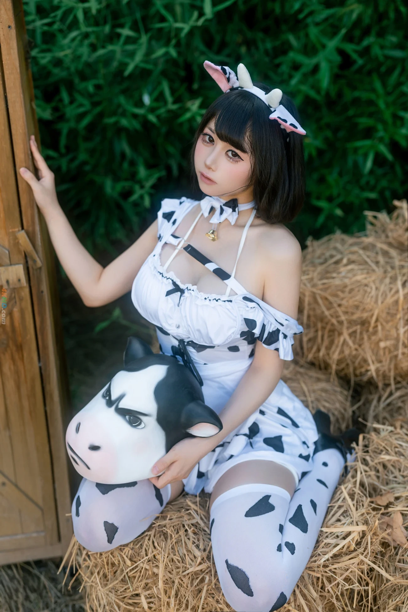 TieShouJiaoShou - WoHeNiuNiuYouGeYueHui — photo 3