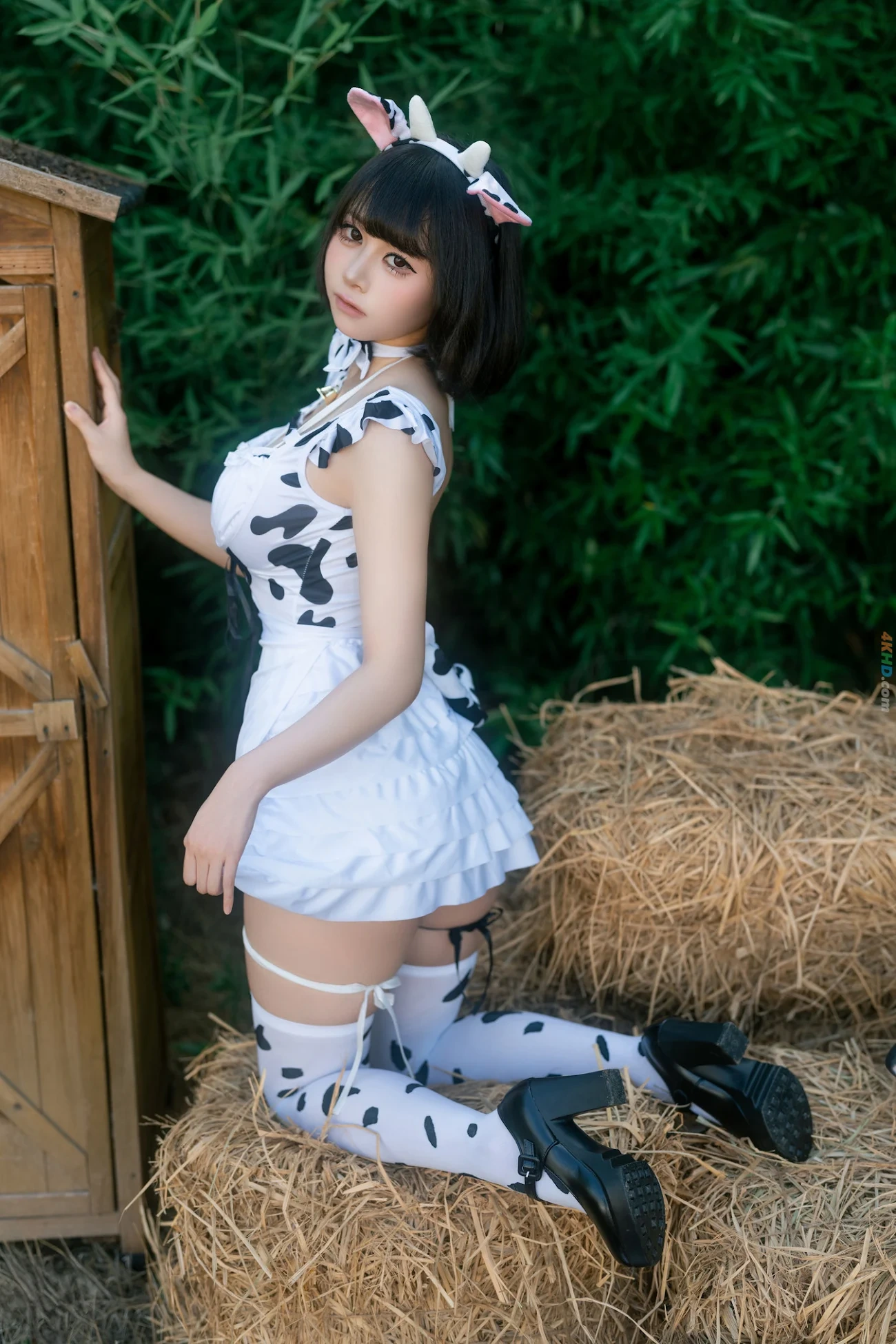 TieShouJiaoShou - WoHeNiuNiuYouGeYueHui — photo 45