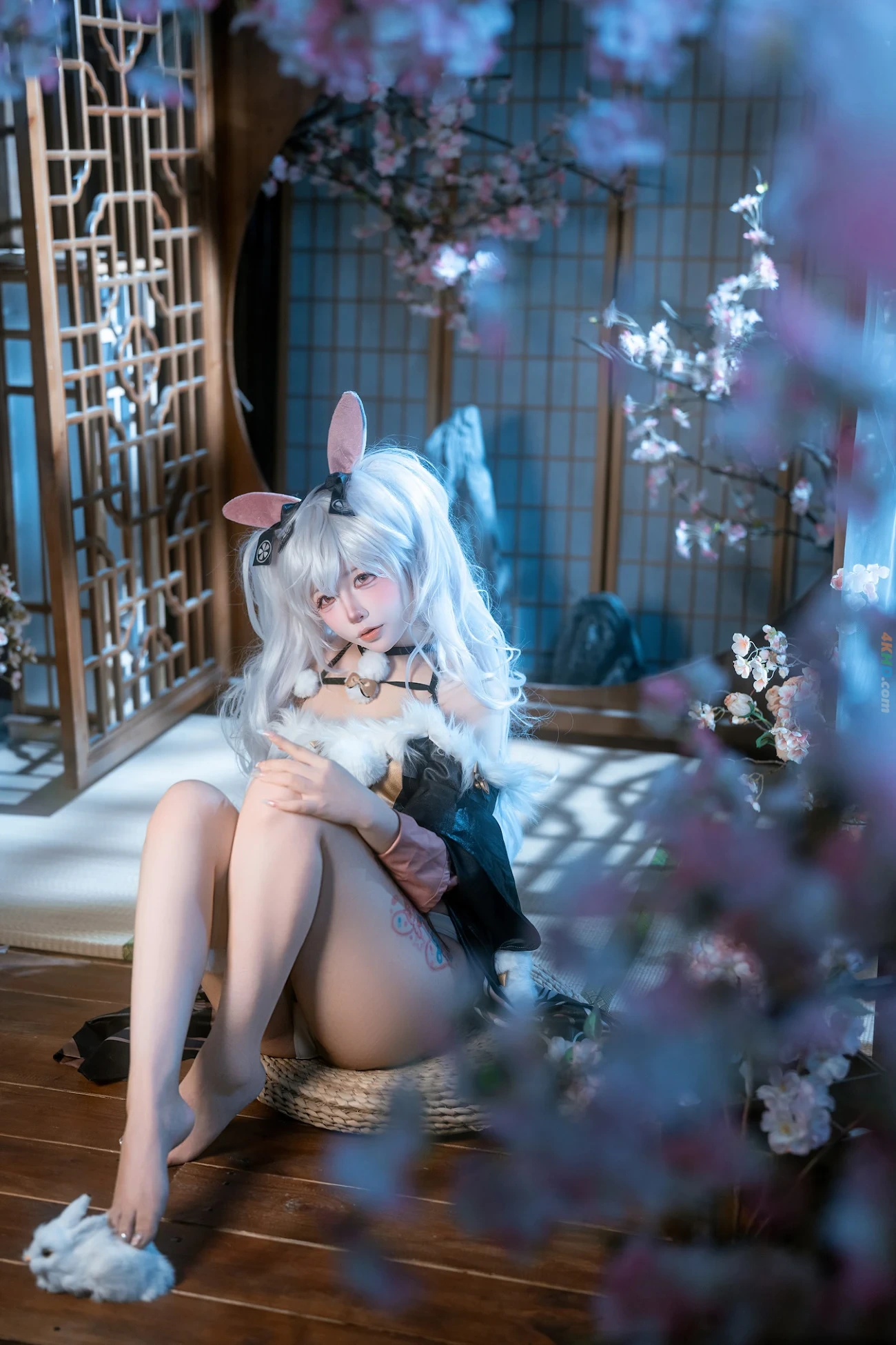 TieShouJiaoShou - ChengZhu — photo 12