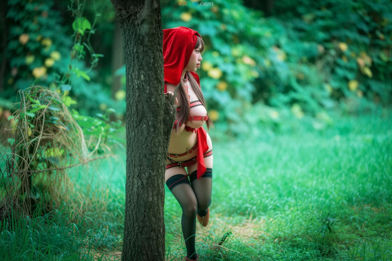 DJAWA Photo Vol.0389 DDiDDi Cheeky Red Riding Hood — photo 88