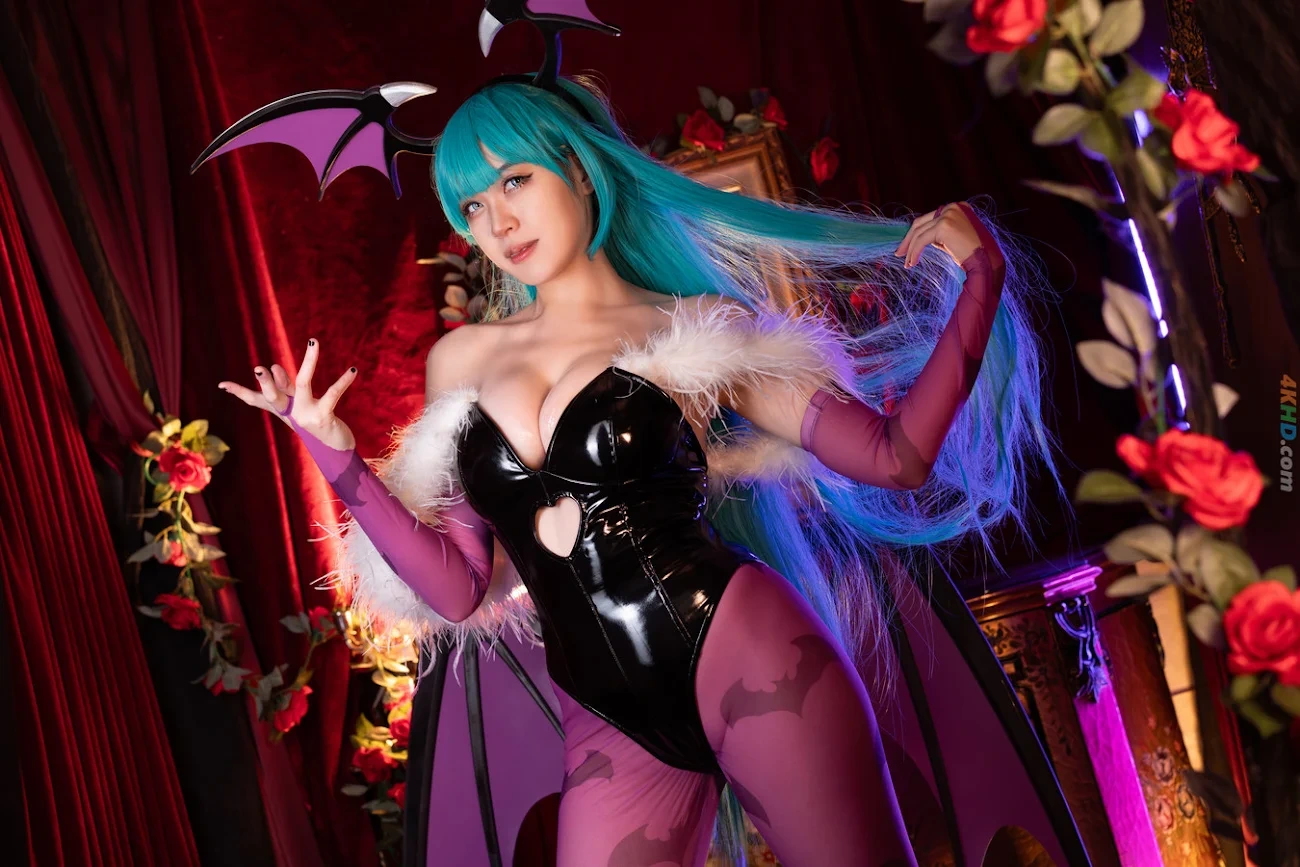 Hatori Sama Morrigan Darkstalkers — photo 4