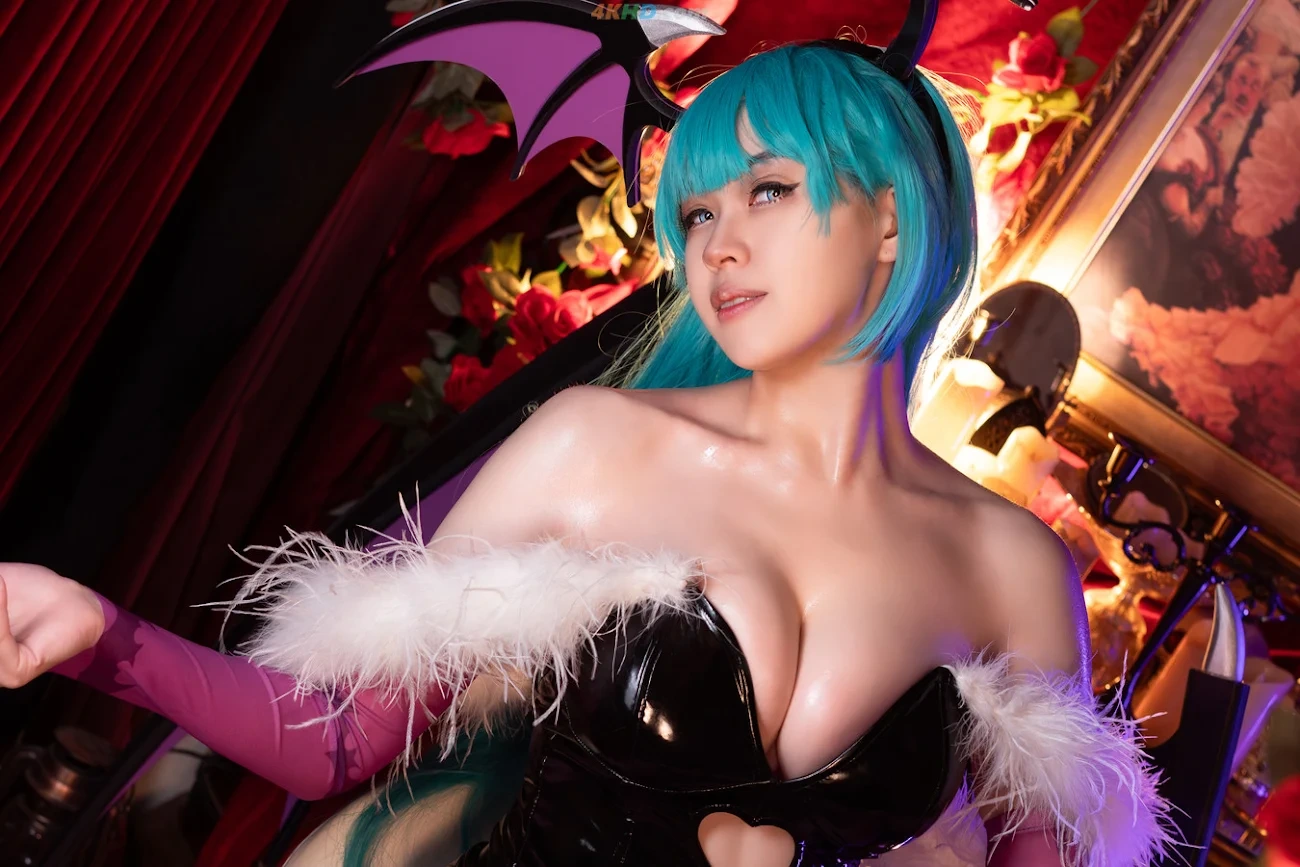 Hatori Sama Morrigan Darkstalkers — photo 14