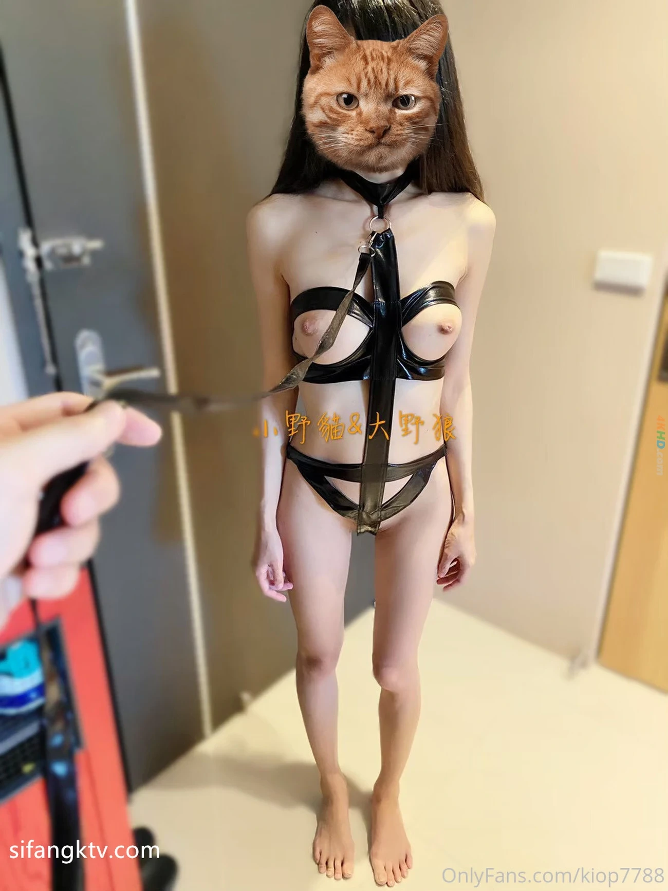 [OtherXXX] XiaoYeMaoDaYeLang - FanChaBiaoRenQianLuChu — photo 81