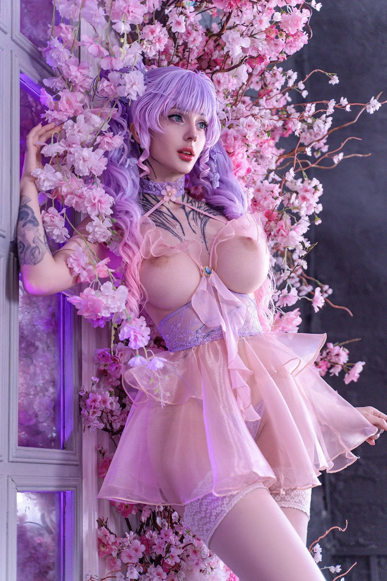 Xenon - Wisteria Dream — photo 8