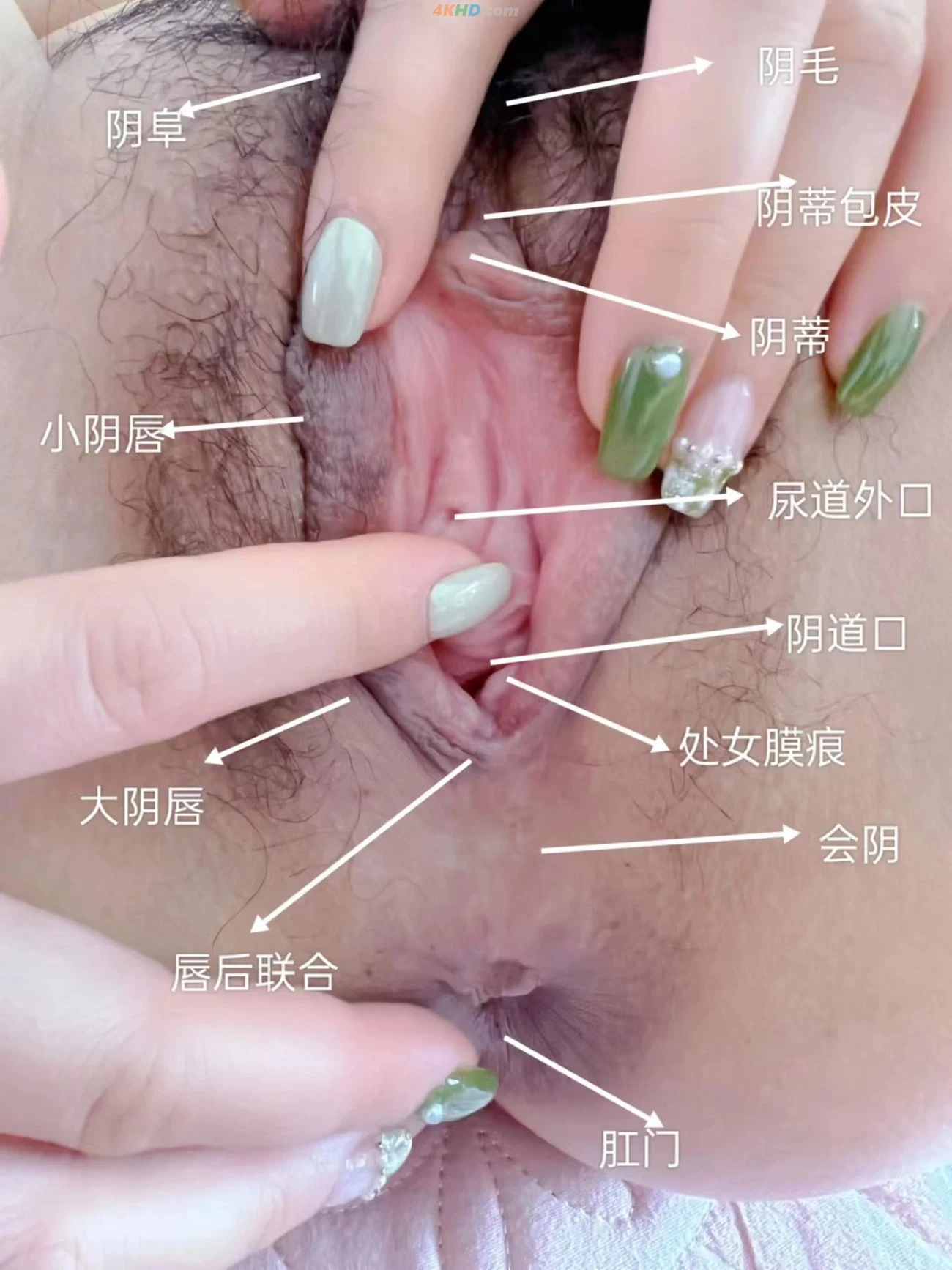 GouTinggxmm - JiPinManYaoFeiTunFanChaMuSiPaiWanZhengBanShiTu — photo 17